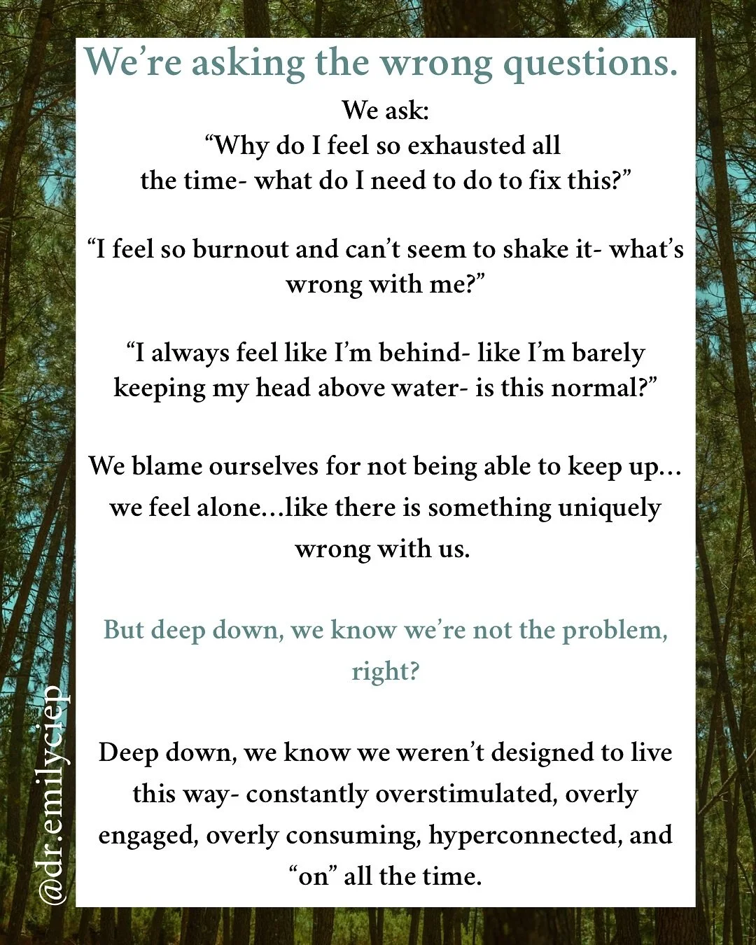 Wednesday reflections ✨

#dremilyciepcielinski