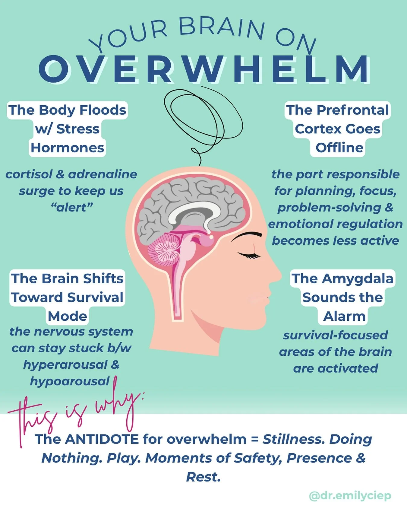 We often try to DO our way out of overwhelm- adding structure, lists, and productivity hacks.

But what our nervous system is craving is actually the direct opposite: spaciousness, rest, stillness, doing nothing at all and moments of lightness.

This