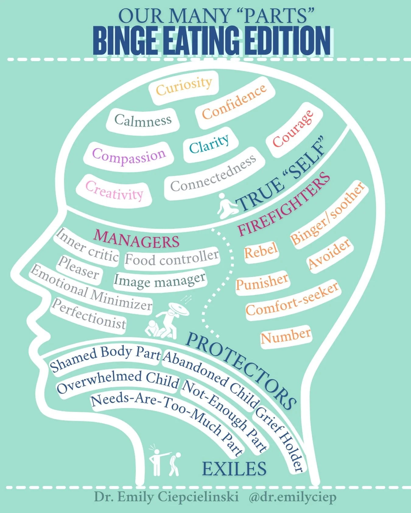 📢These are just some examples of parts that may be present for individuals struggling with binge eating disorder (BED). 

Here&rsquo;s a common BED cycle in IFS (parts-work) terms:
Exile activation &rarr; Manager tightens &rarr; System overload &rar