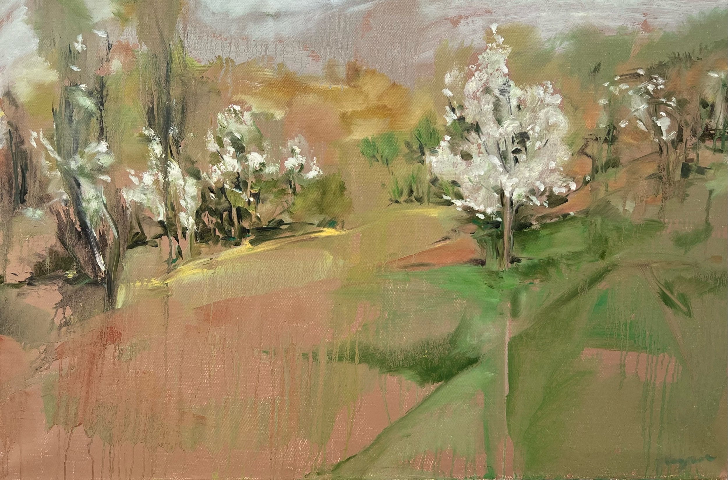 Early Spring Orchard