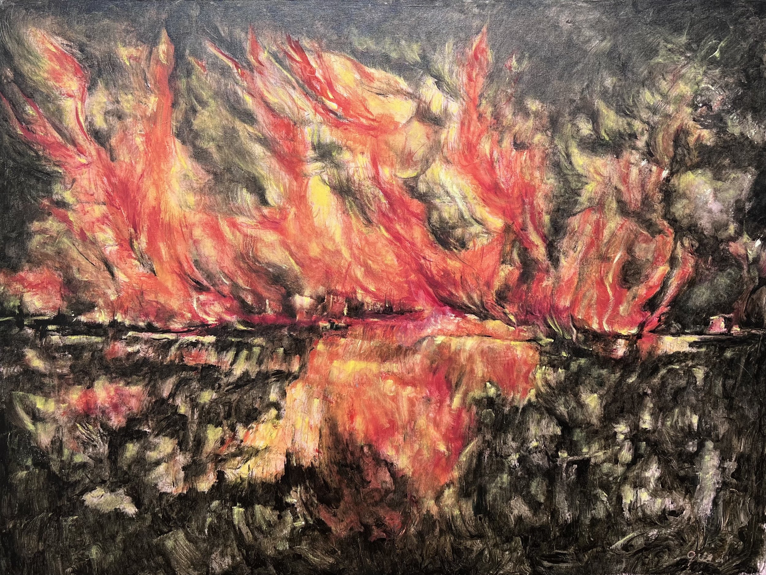 Forest Fire #1 
