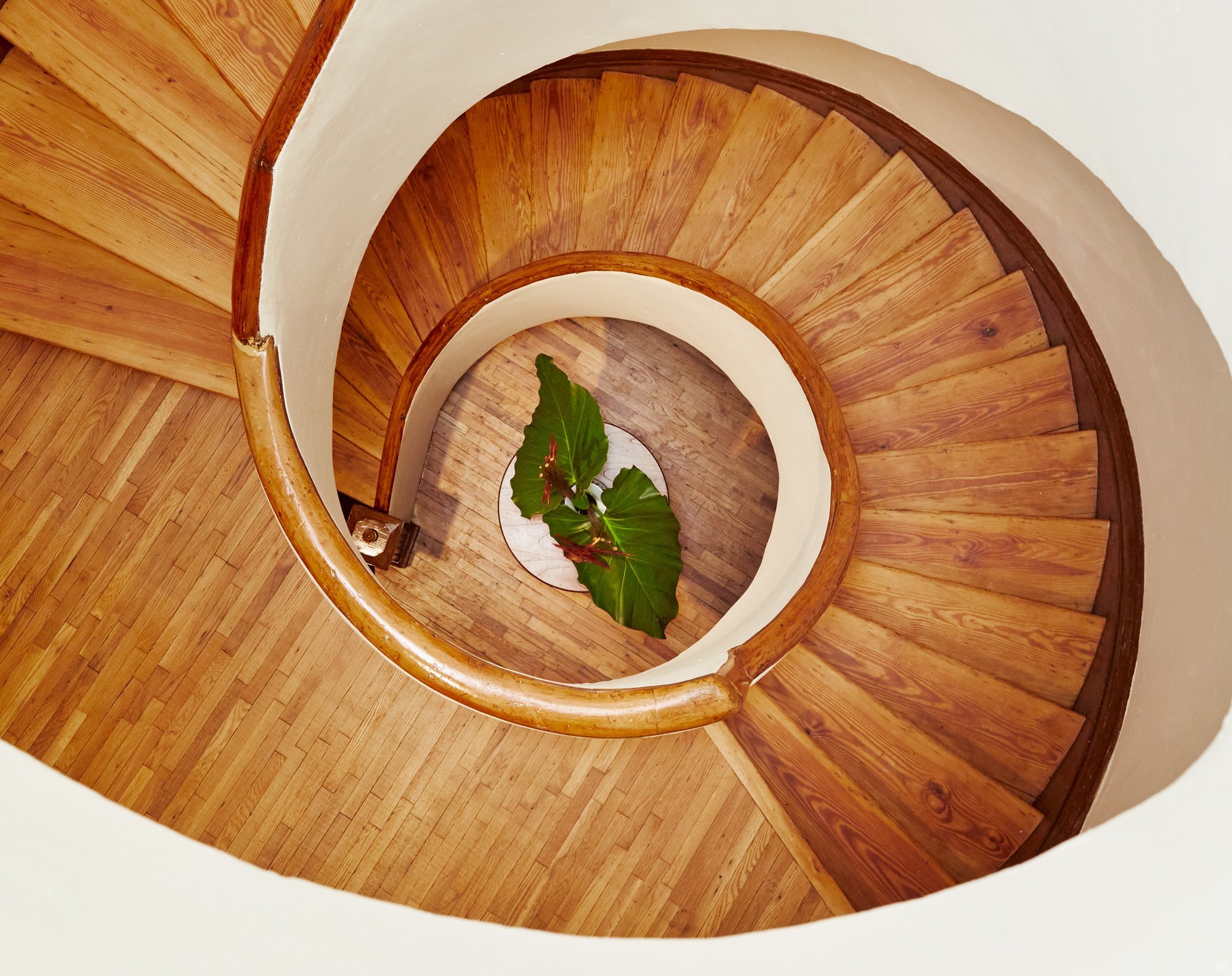 New-Vibe-Architectural_Studio-3_0929_1 copy.jpg