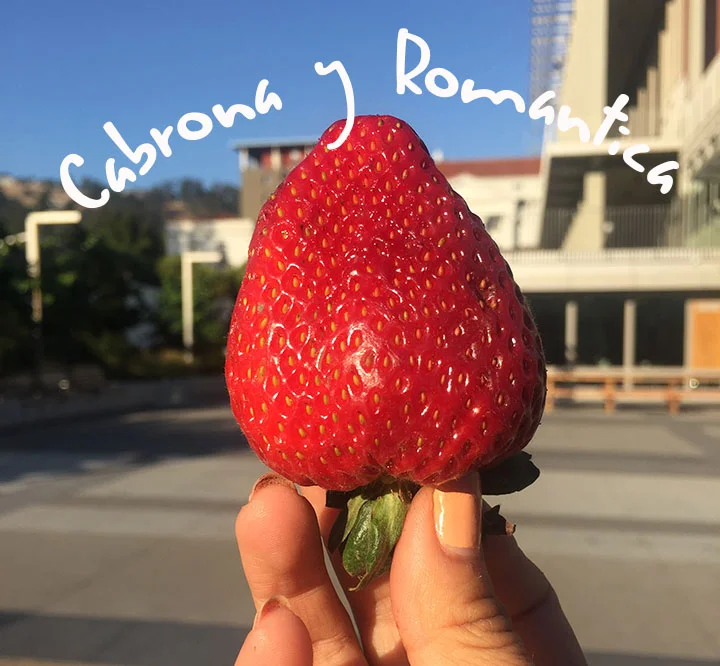 Chulita Marvelouz - Cabrona y Romantica