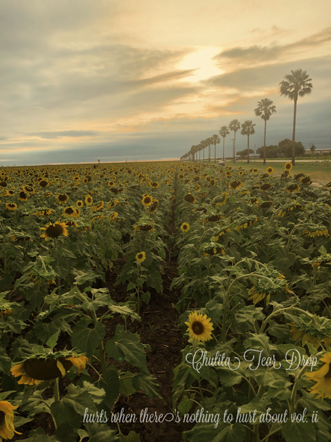 Chulita Tear Drop - Hurts when there's nothing to hurt about Vol. II