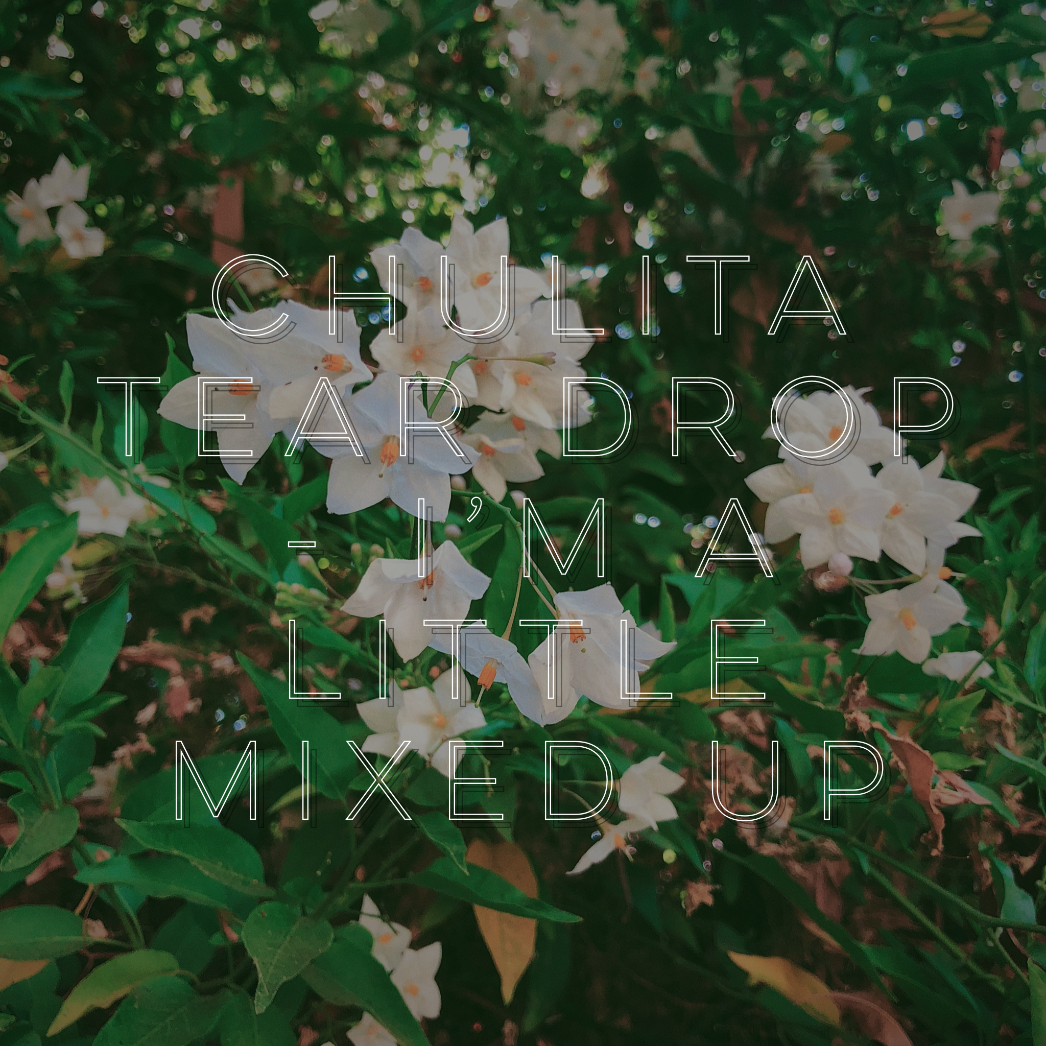 Chulita Tear Drop - I’m a Little Mixed Up