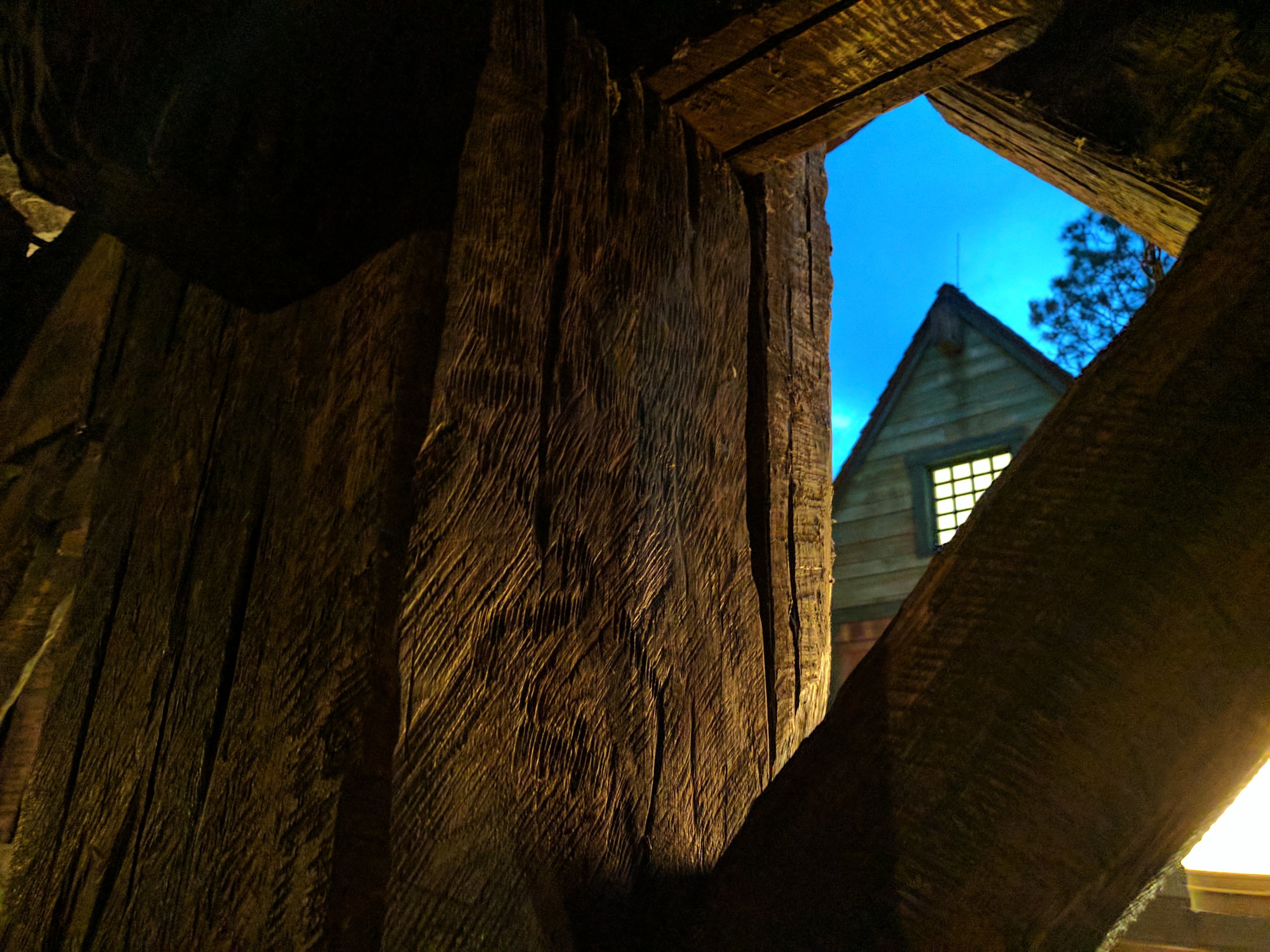 Moody alt-country album cover, or waiting for Br'er Fox and Br'er Bear to send us down Splash Mountain?