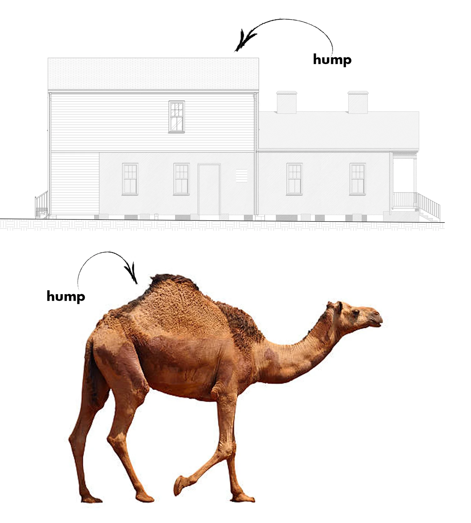 Ingenuity of the New Orleans' Camelback — Studio BKA Architecture ...