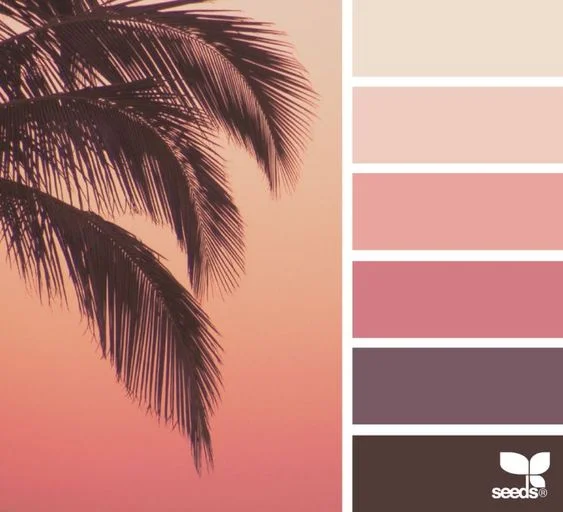 Color Set  Sunset color palette, Design seeds color palette