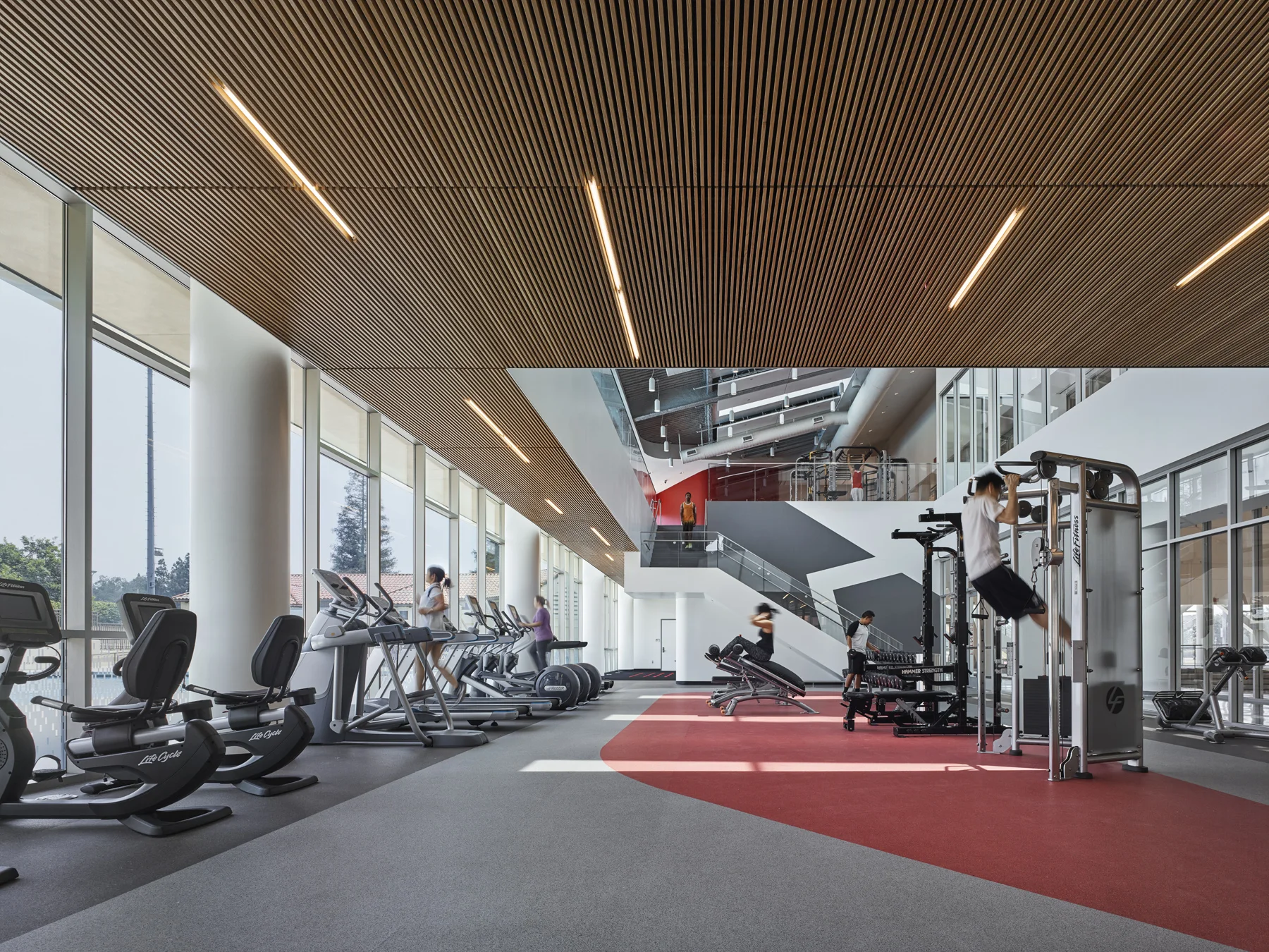 Fitness center from ground level