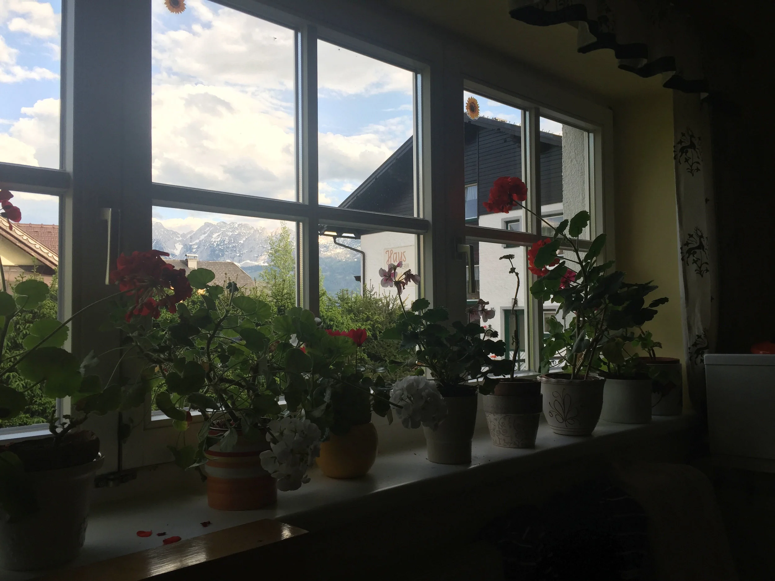 The view from Hermine's kitchen window - not bad, right? (Also apparently being a plant lover runs in the family)