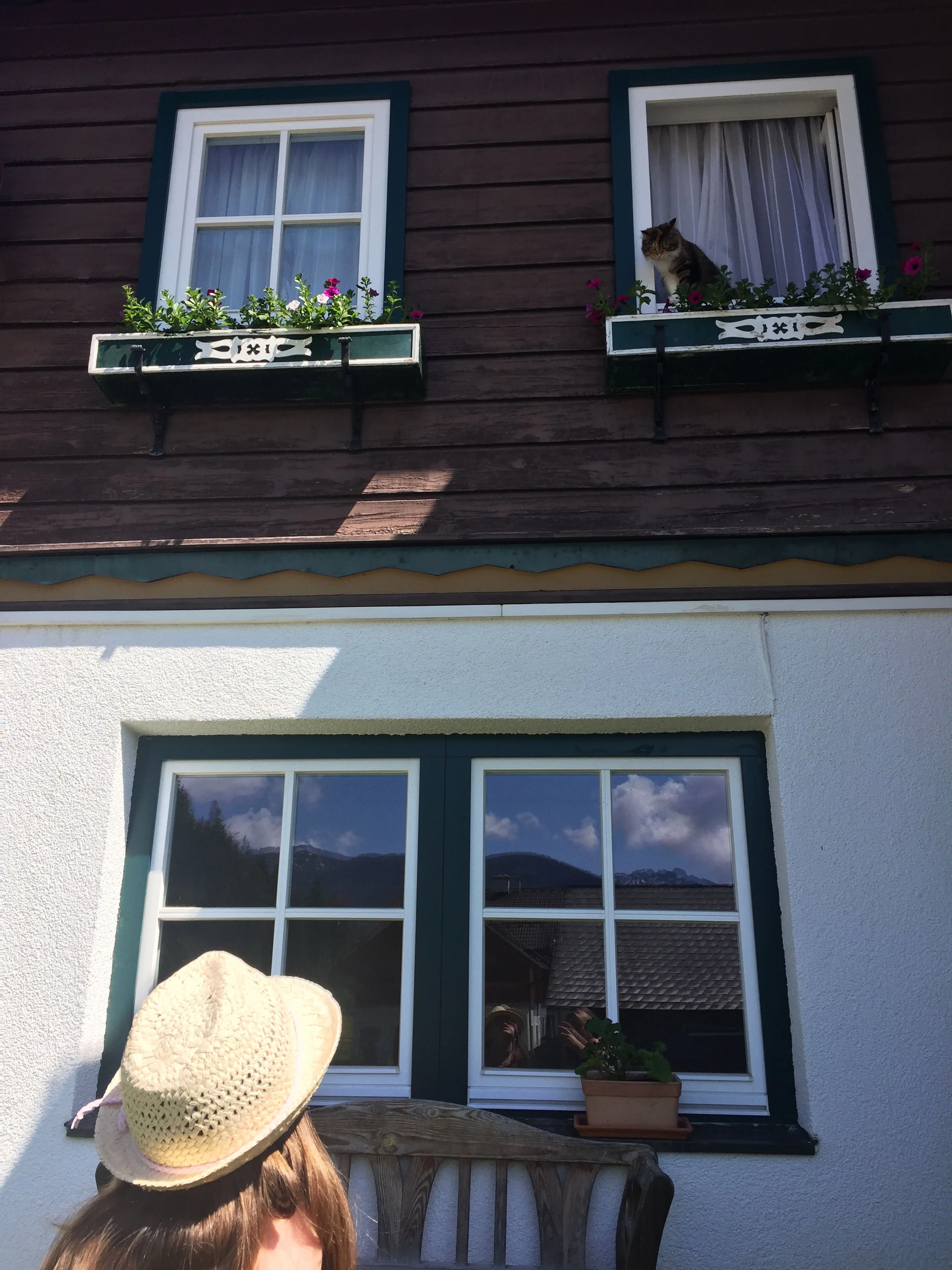 I walked outside one day to see this little neighbor girl rocking her straw hat & just chatting with her cat who was hanging out the window. Typical!