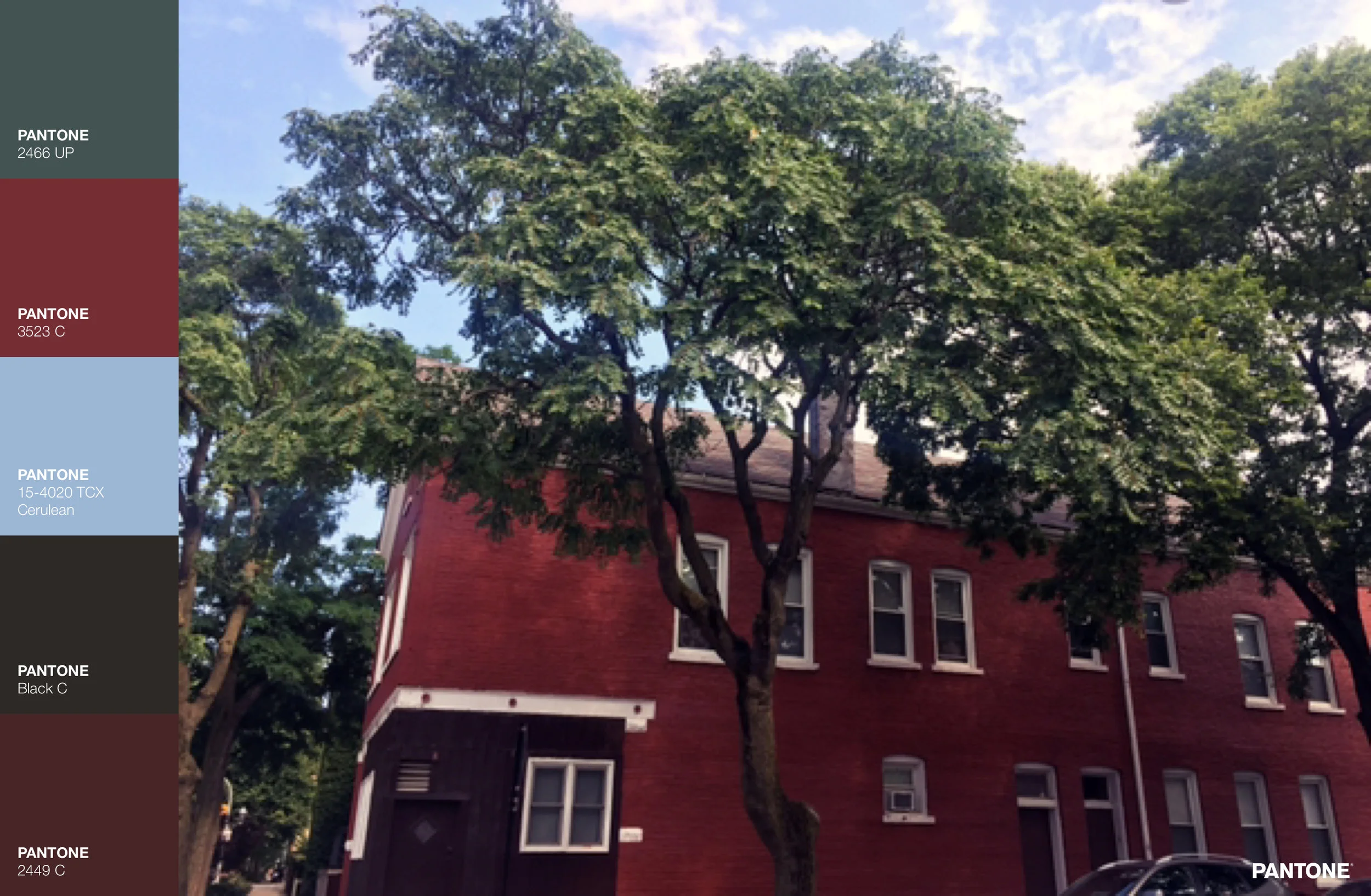 This is also in Bucktown, & I like to call it the city barn house. The red brick is stunning, & from other angles it really does look like a barn. I bet this place is amazing in the fall as the leaves change!