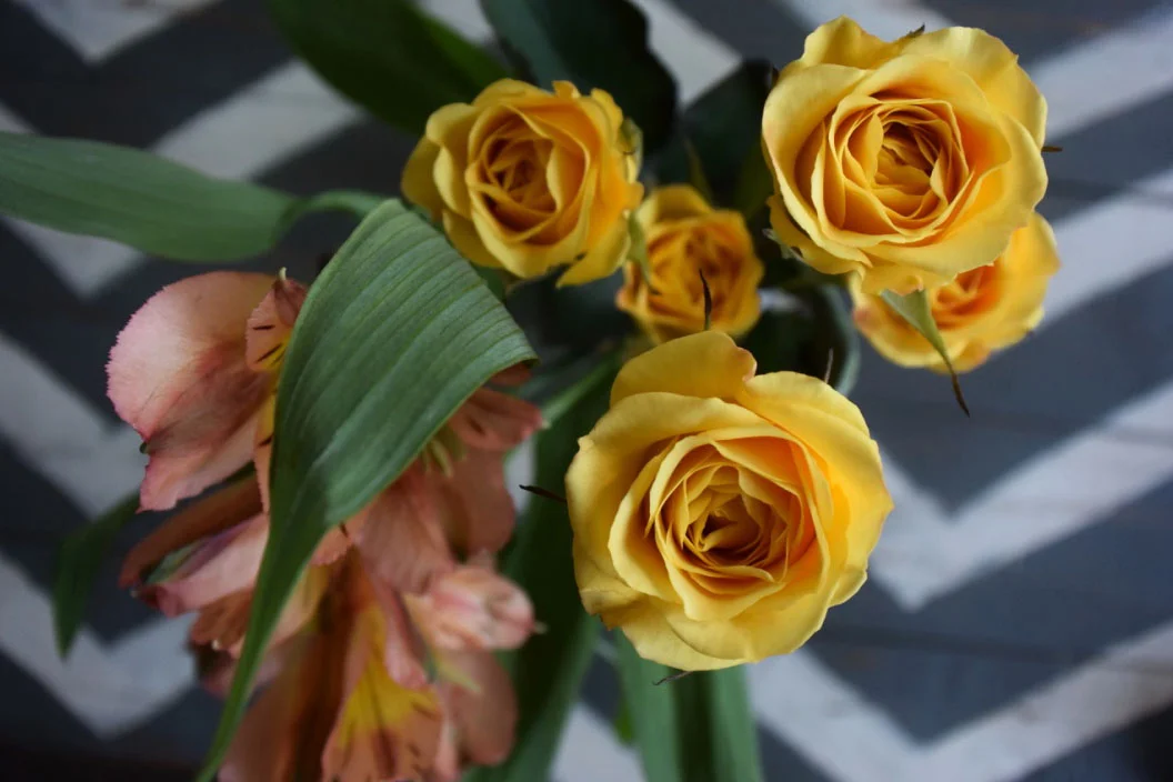 Trader Joe's flowers strike again. For $3.99, I got enough gorgeous flowers to fill 3 medium-sized vases & they are just lighting up my life!