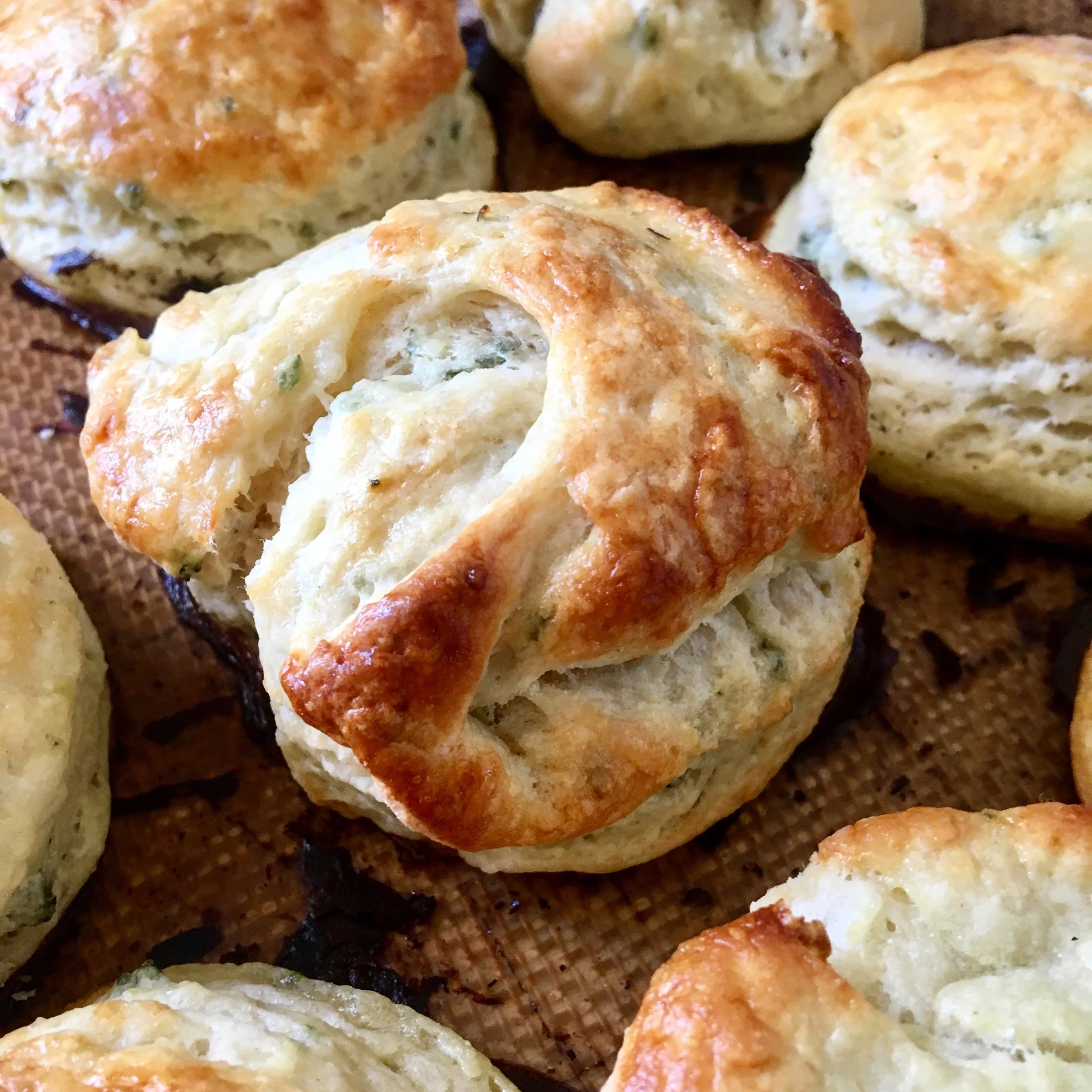 herbed biscuits_sq.jpg