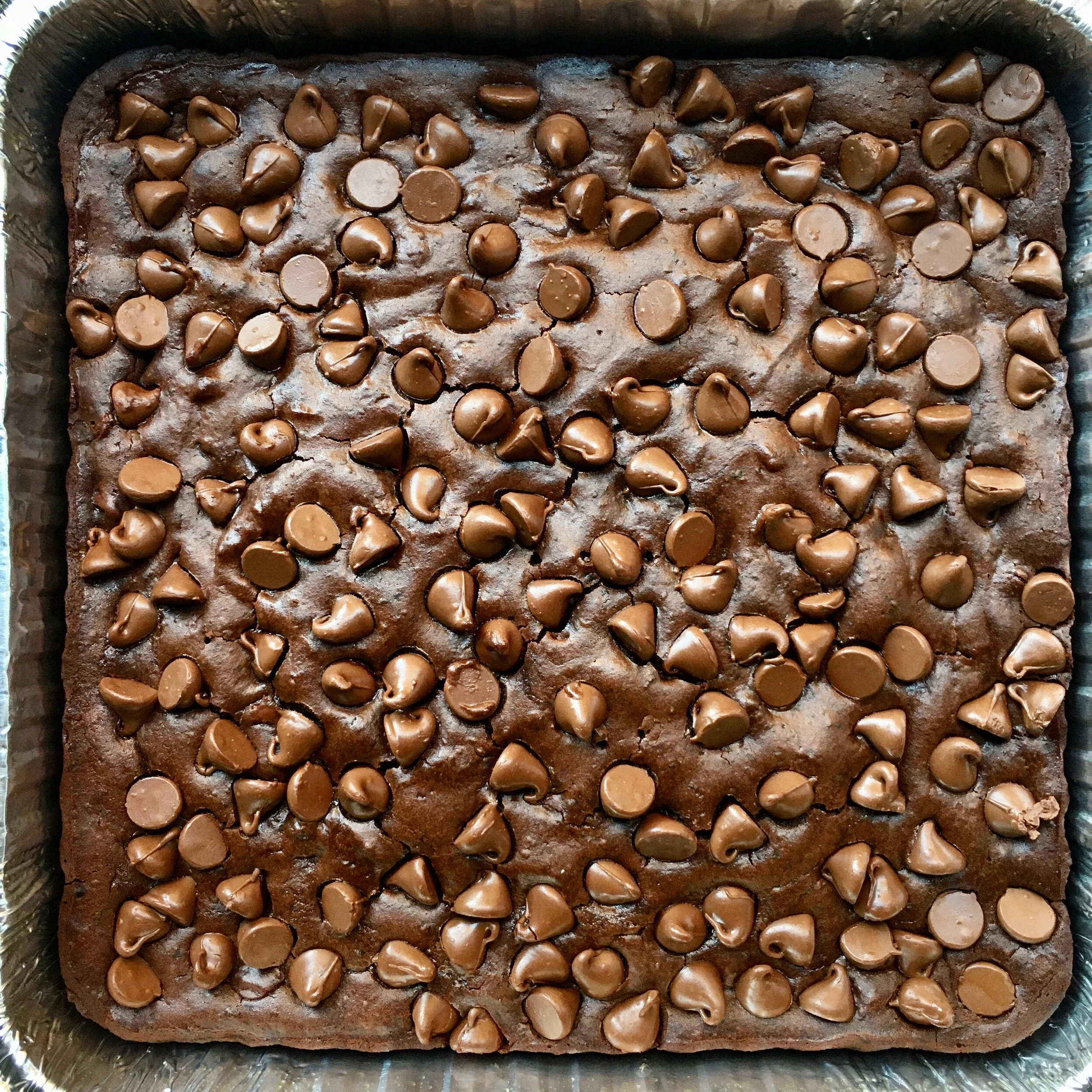 Fudgy Black Bean Brownies