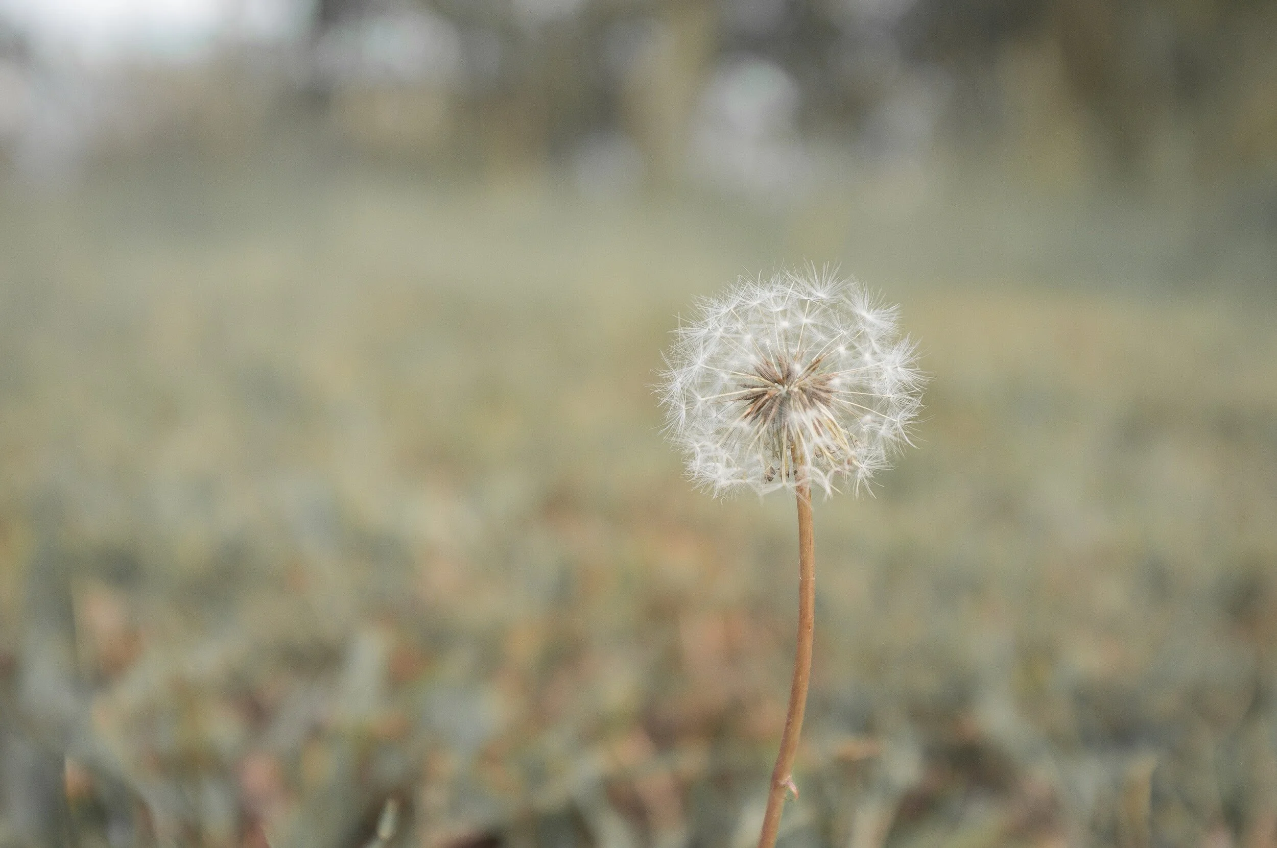 The Power of Heart Centered Change + Positive Affirmations