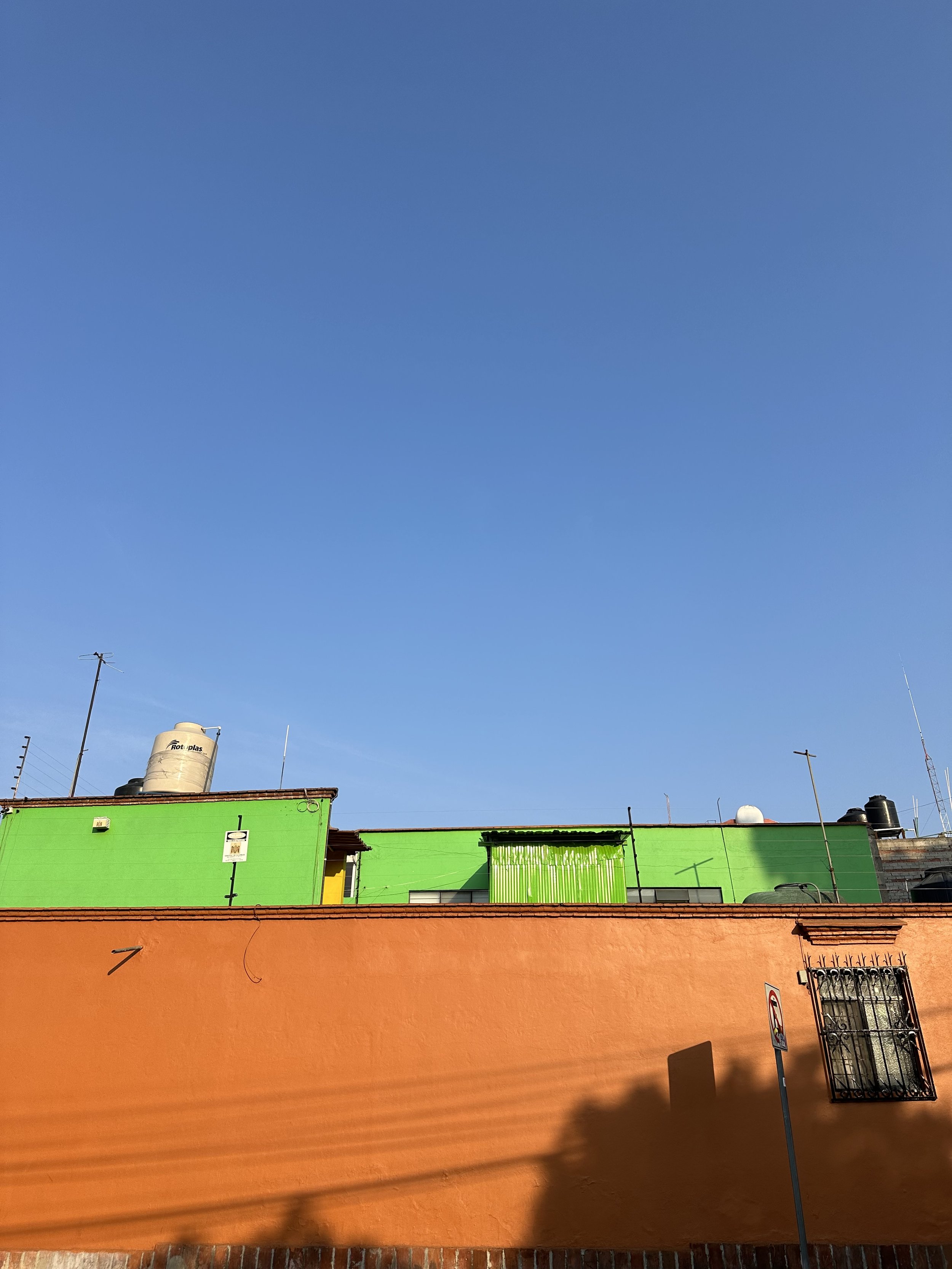 IMG_8421.jpeg