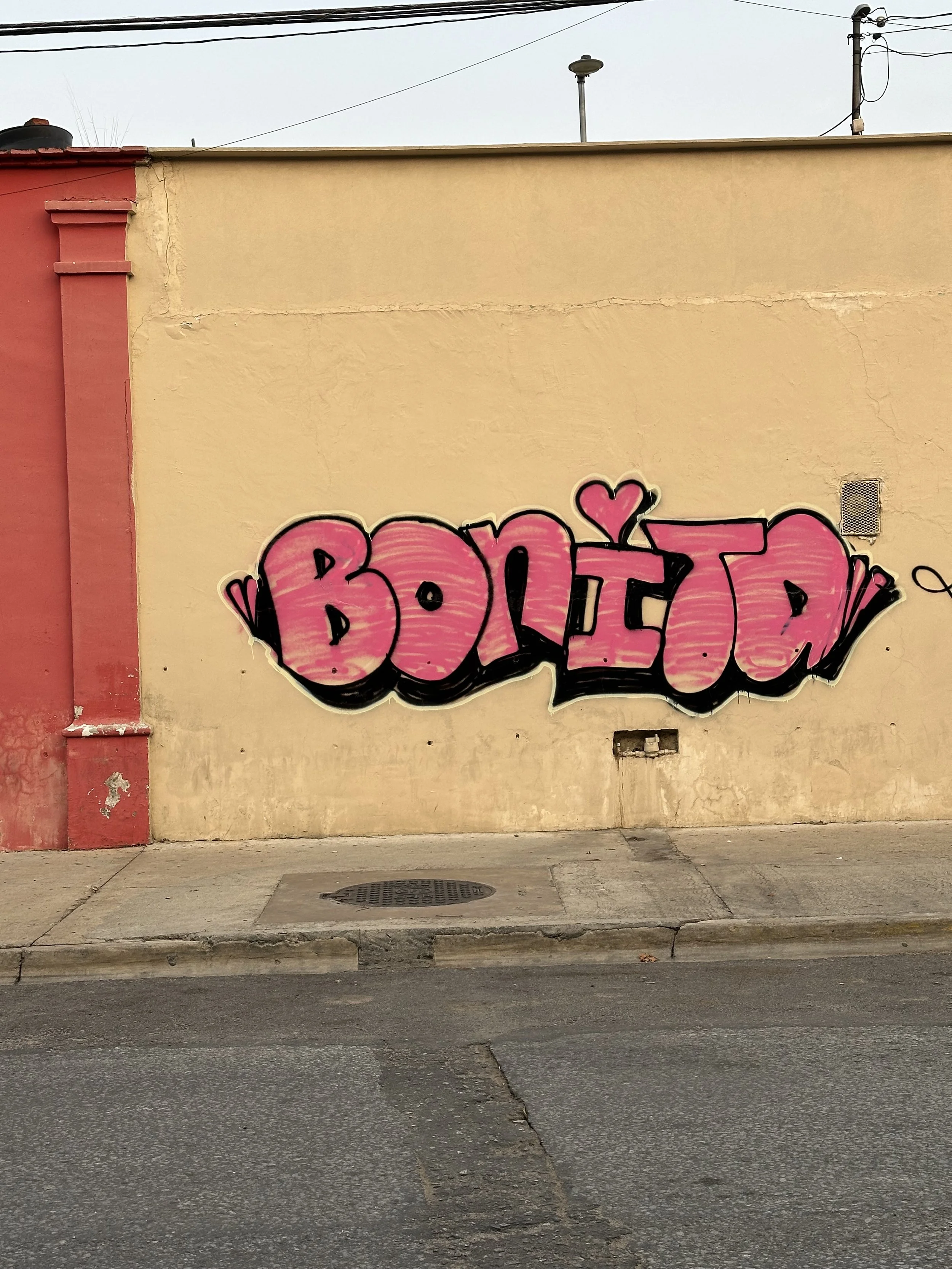 The Beauty That Surrounds Us 