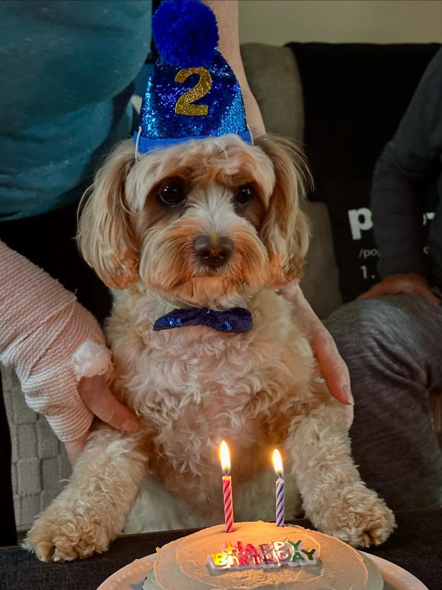 Happy 2nd Birthday to my favorite boy 🩵🩵🩵 You are pure, healing, unbounded, joy &mdash; Rocky Parker 🩵🩵🩵 And I love you with all of my heart ❤️ Thank you for your silly ways, your crazy kisses and soulful eyes. I am so grateful that we&rsquo;ve