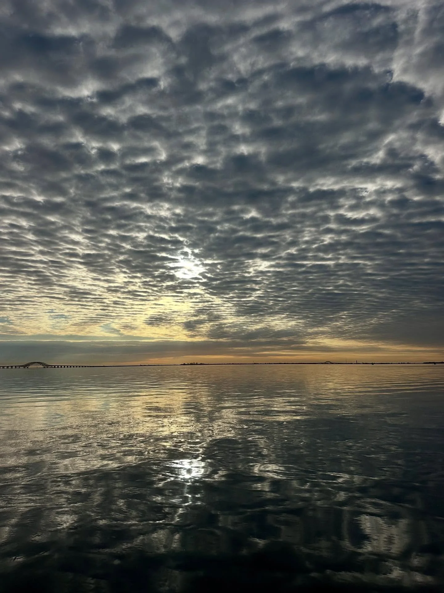 Some photos taken along morning walks and through the days. Walking is one of the best, if not the best gift, that I&rsquo;ve given myself every day for the last 24 years. While I haven&rsquo;t been able to do yoga, I&rsquo;ve been enjoying beautiful