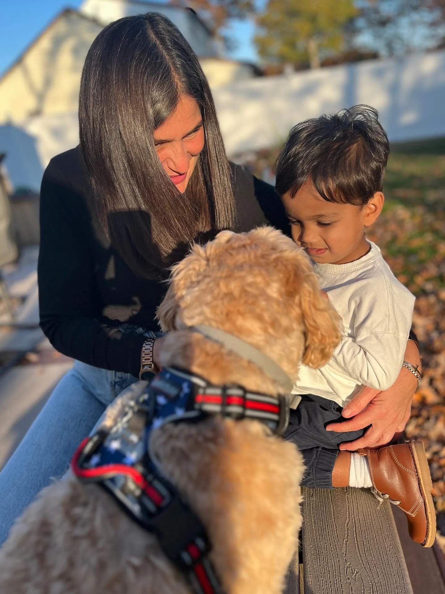 More fun 🩵 More joy 🩵 More Oscar moments 🩵 And I think Rocky was pooped out from all of Oscar&rsquo;s BBE &mdash; big boy energy!