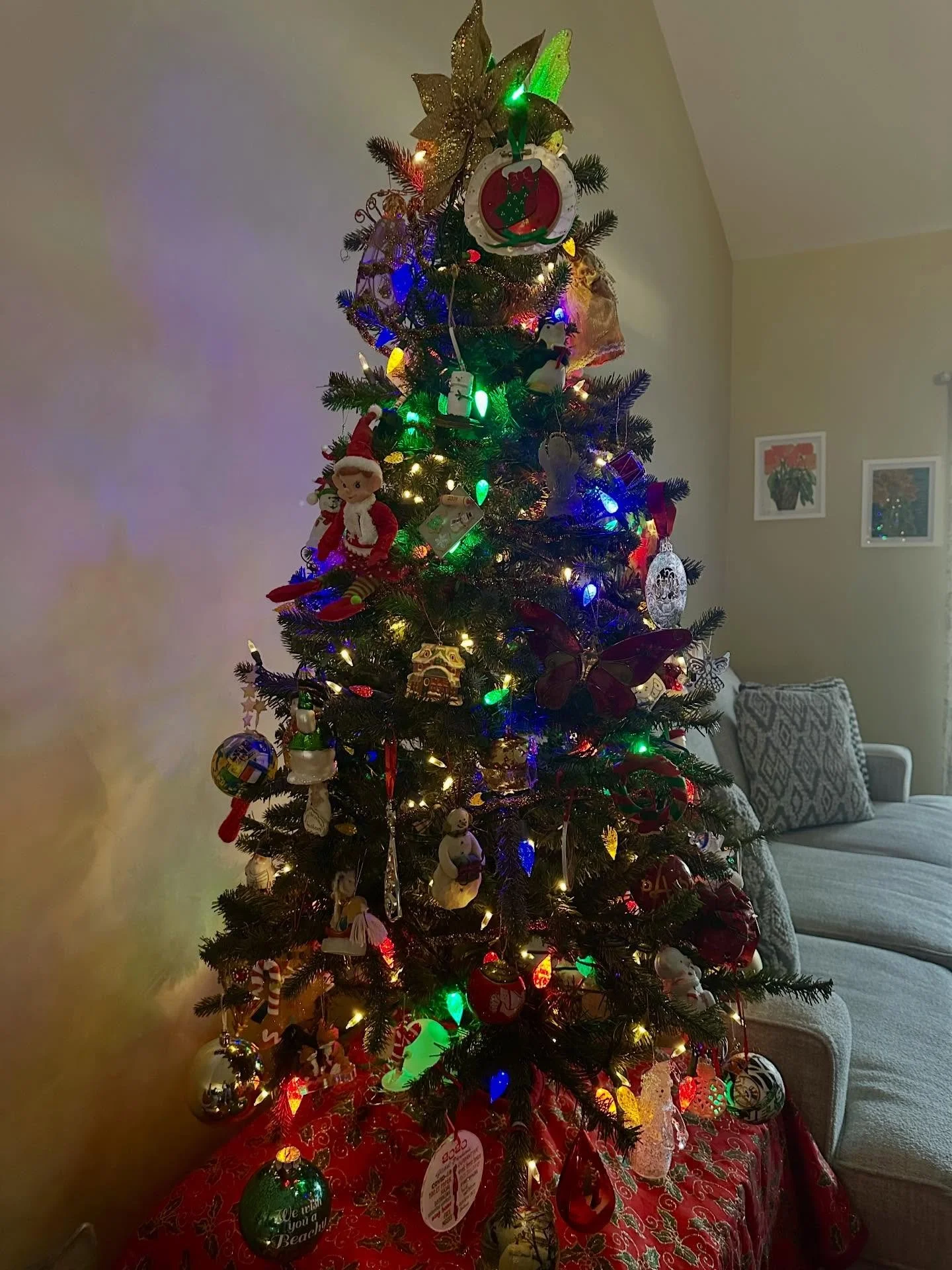 A very full day of Christmas tree 🎄 trimming, hot cocoa making, a great blue heron sighting and learning how to remove hard water stains from car 🚙 windows. Next up: installing new windshield wipers and headlight restoration. The fun at the senior 