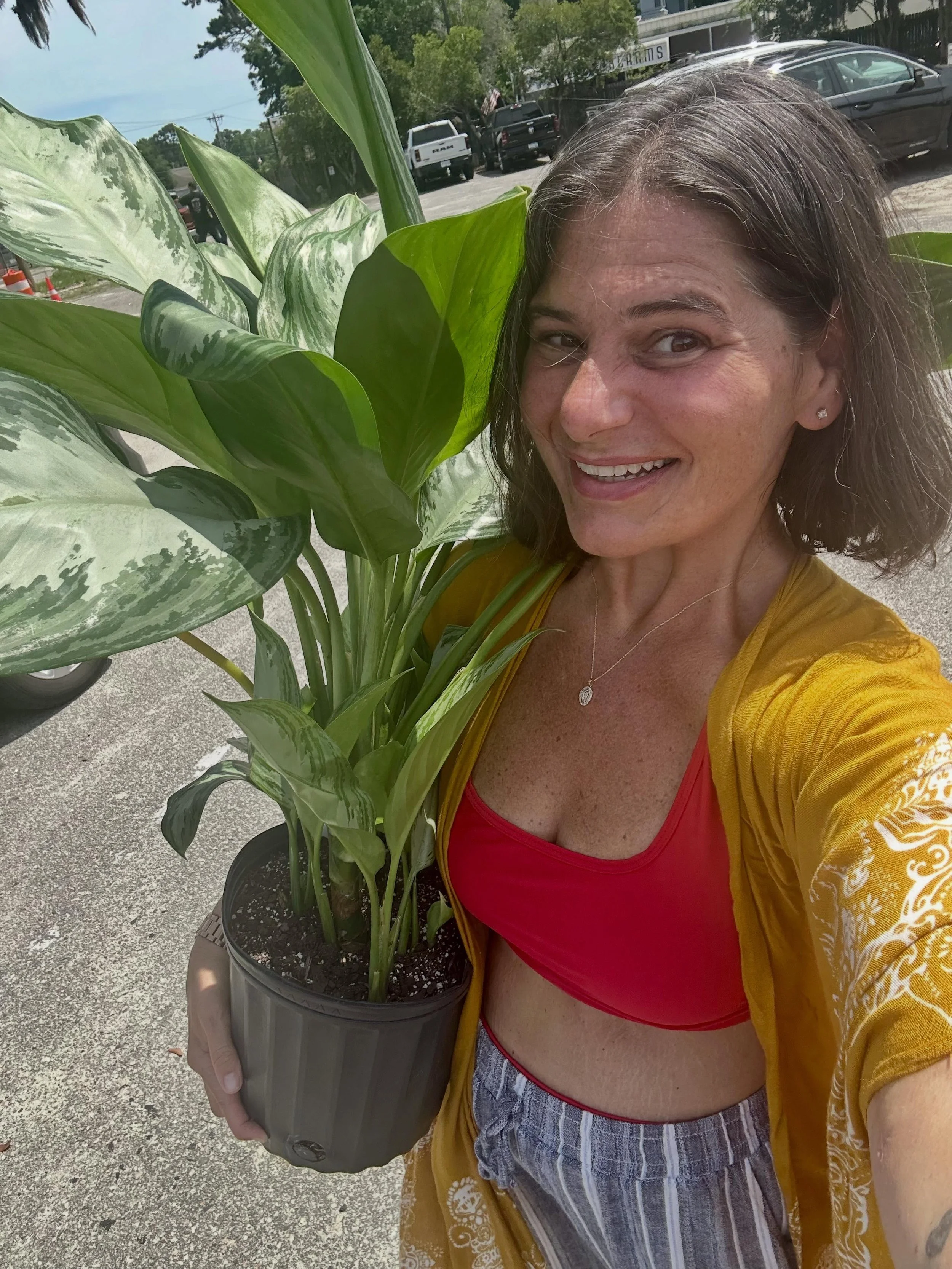 This is 46 🎈 I had the day off from the senior center and so I went to the beach and added a new baby to the family. I scooped her up at a plant 🪴 festival at our local biker 🏍️ bar. I met a woman who converted a school bus into a plant store and 
