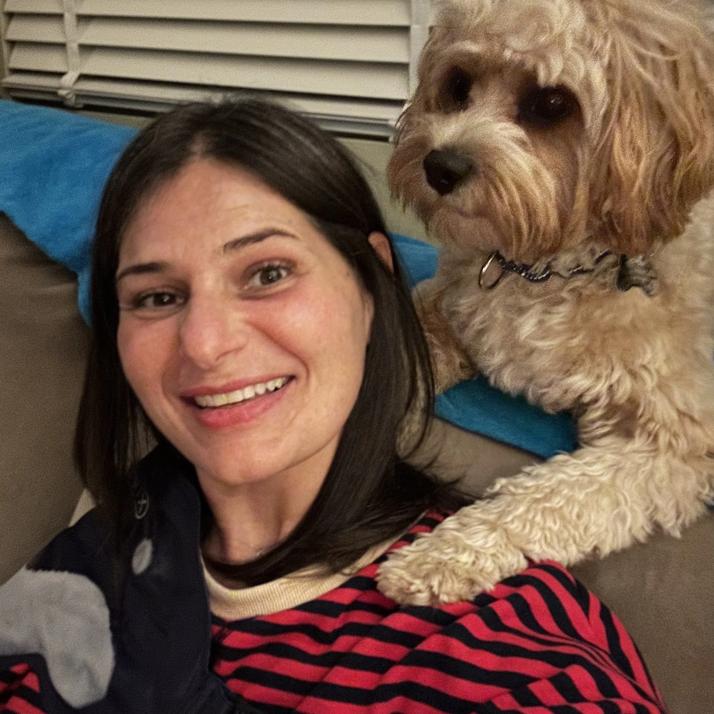 Newsletter Archive, You can eat Irish Soda Bread in April and prepare stew in the spring