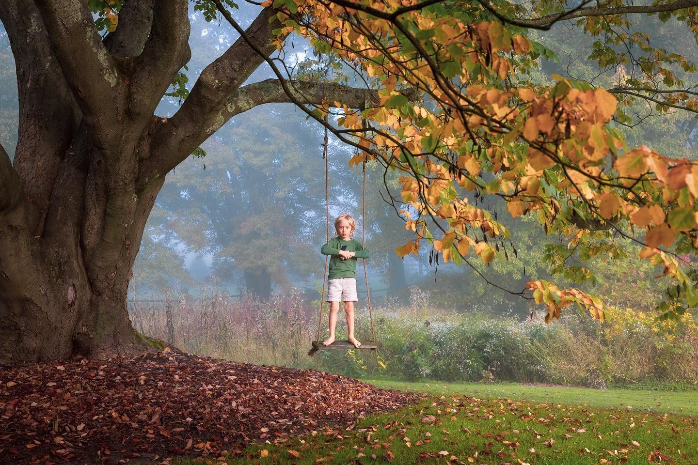 .
.
.
.
.

#mycanonstory #fog #yellowwoodtree #galleryoflightfeature #subjectlight #fall #foliage #swing #clickpro #moodygrams #somber_portraits #nothingisordinary #myfeatureshoot #magicofchildhood #follow_this_light #candidchildhood #naturallight #t