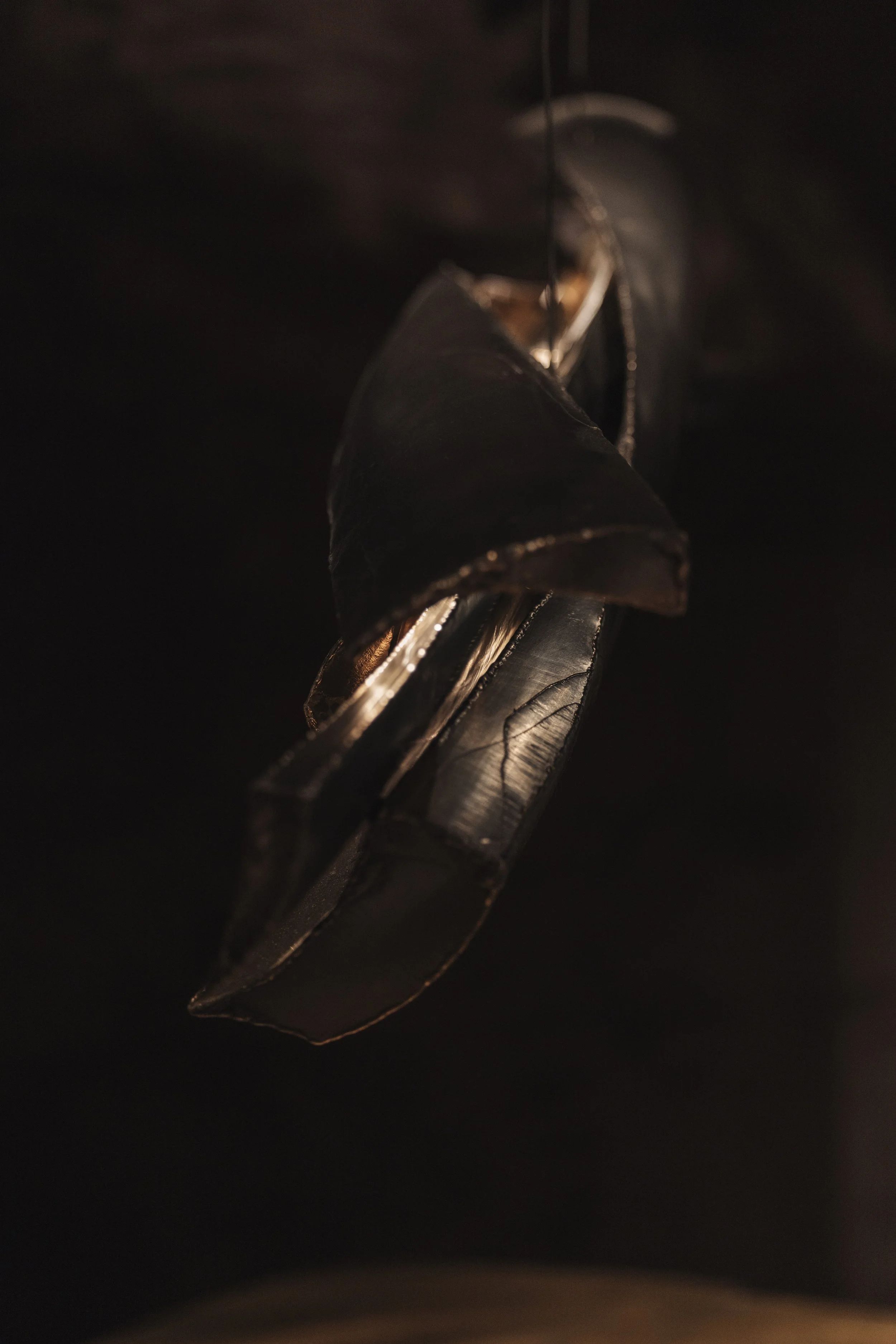 _M9A0310.jpg