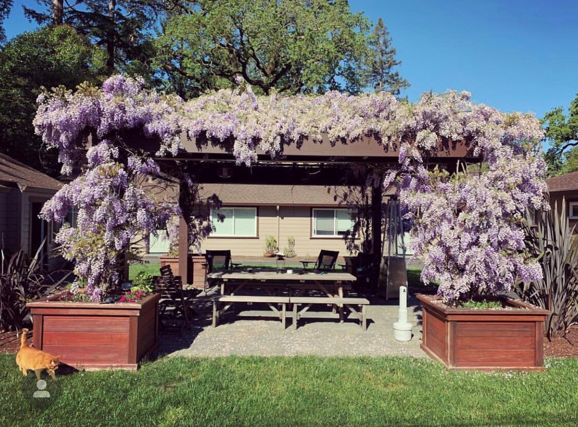 931 San Anselmo courtyard.jpg