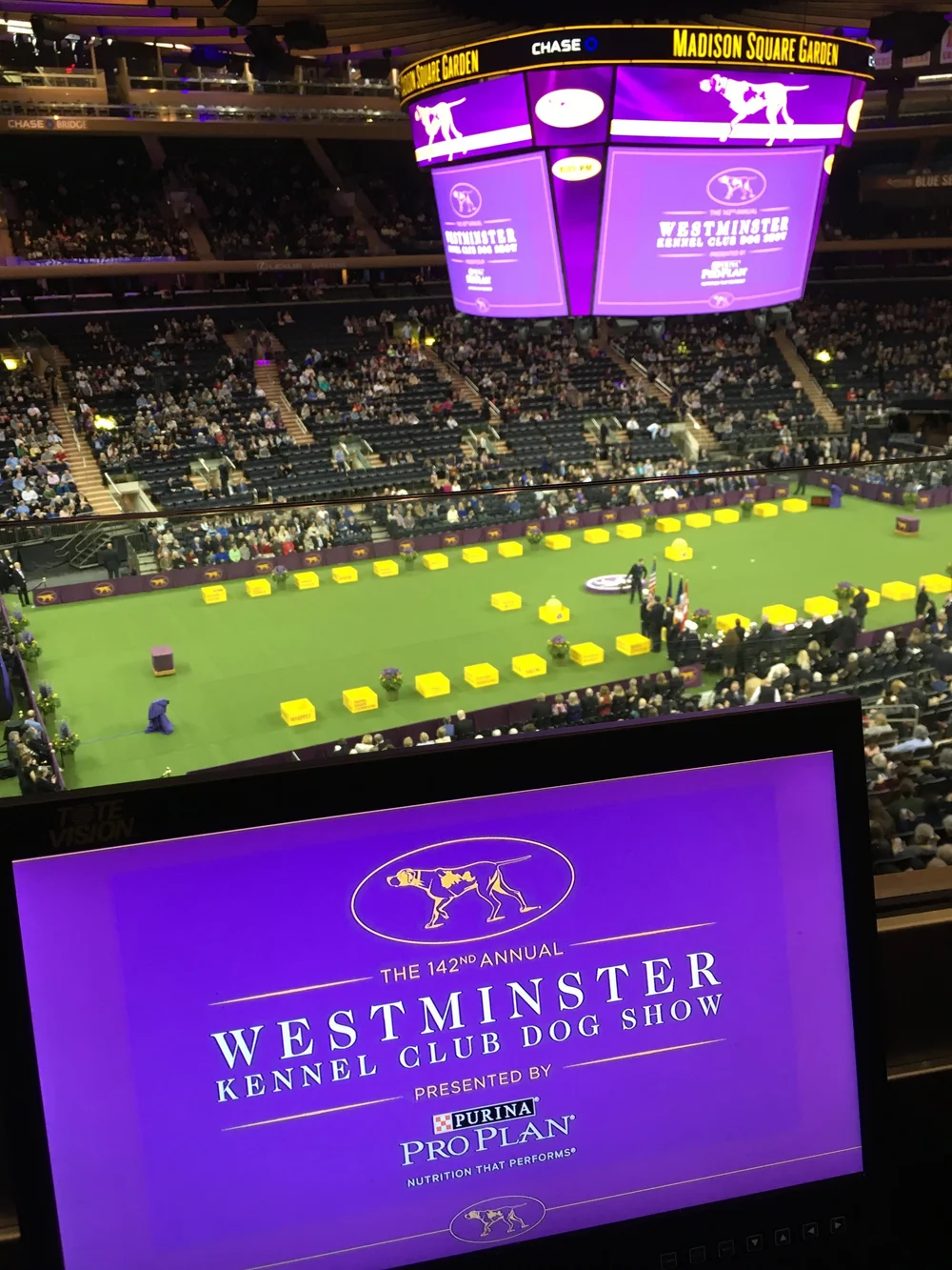 Madison Square Garden Travel Blog Rich S Driving Service