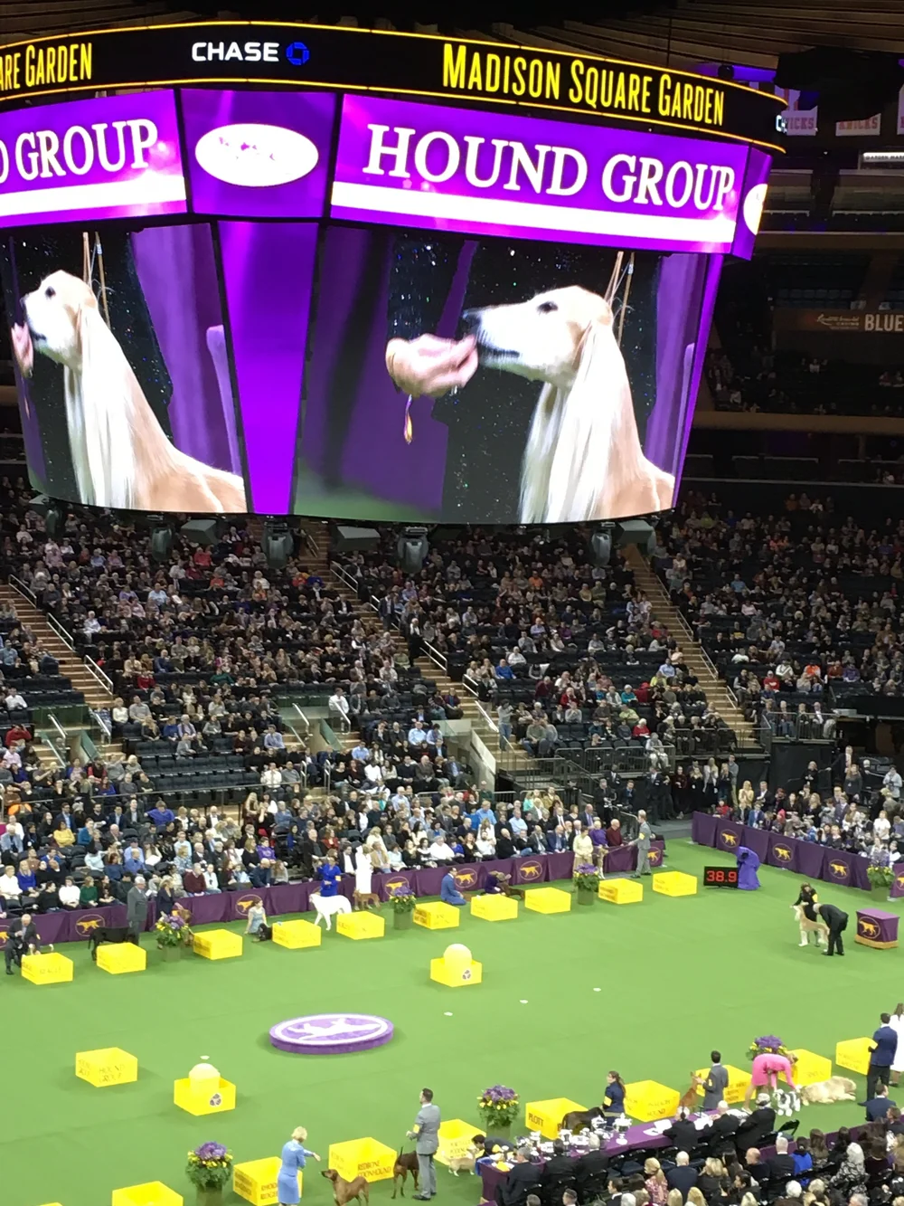 Madison Square Garden Travel Blog Rich S Driving Service