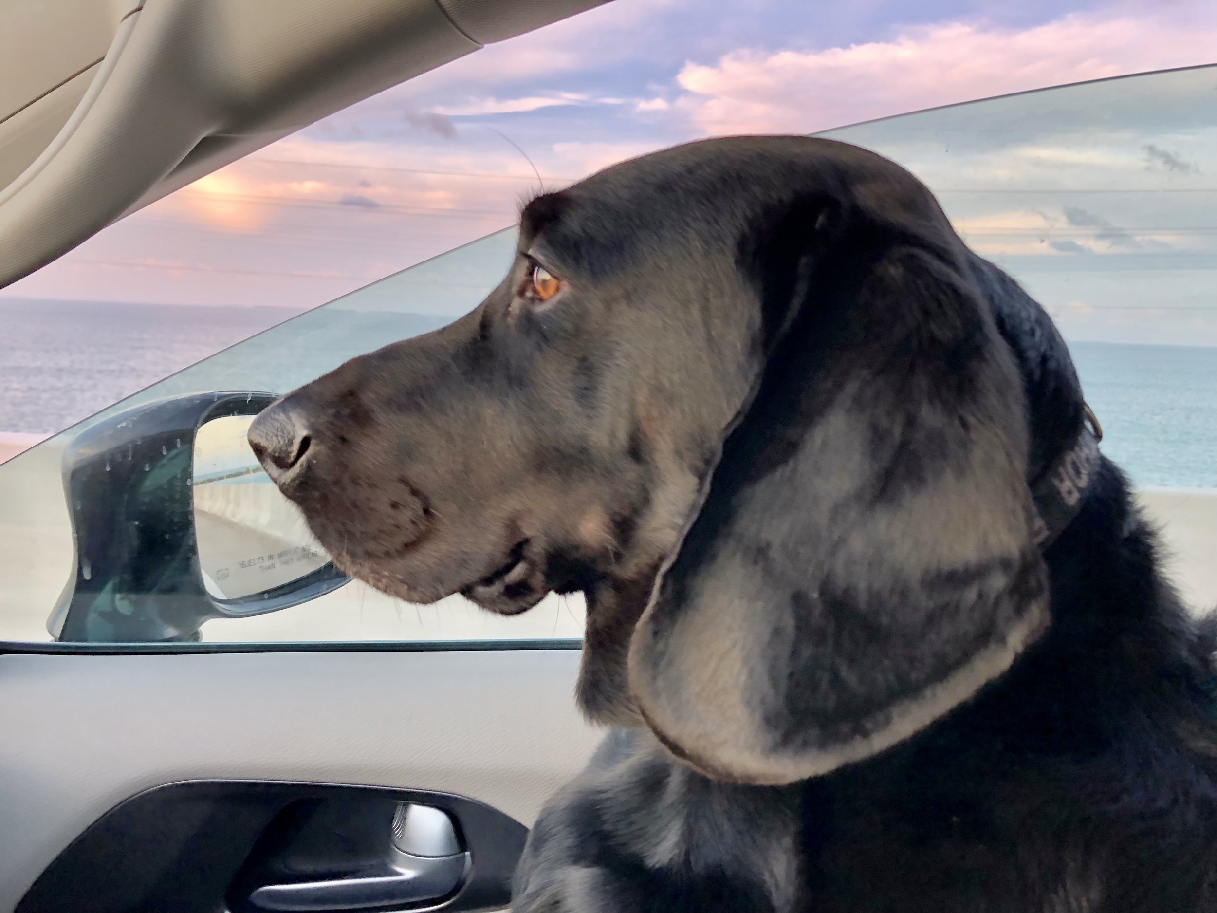 Thor, Framingham MA to Key Colony Beach FL