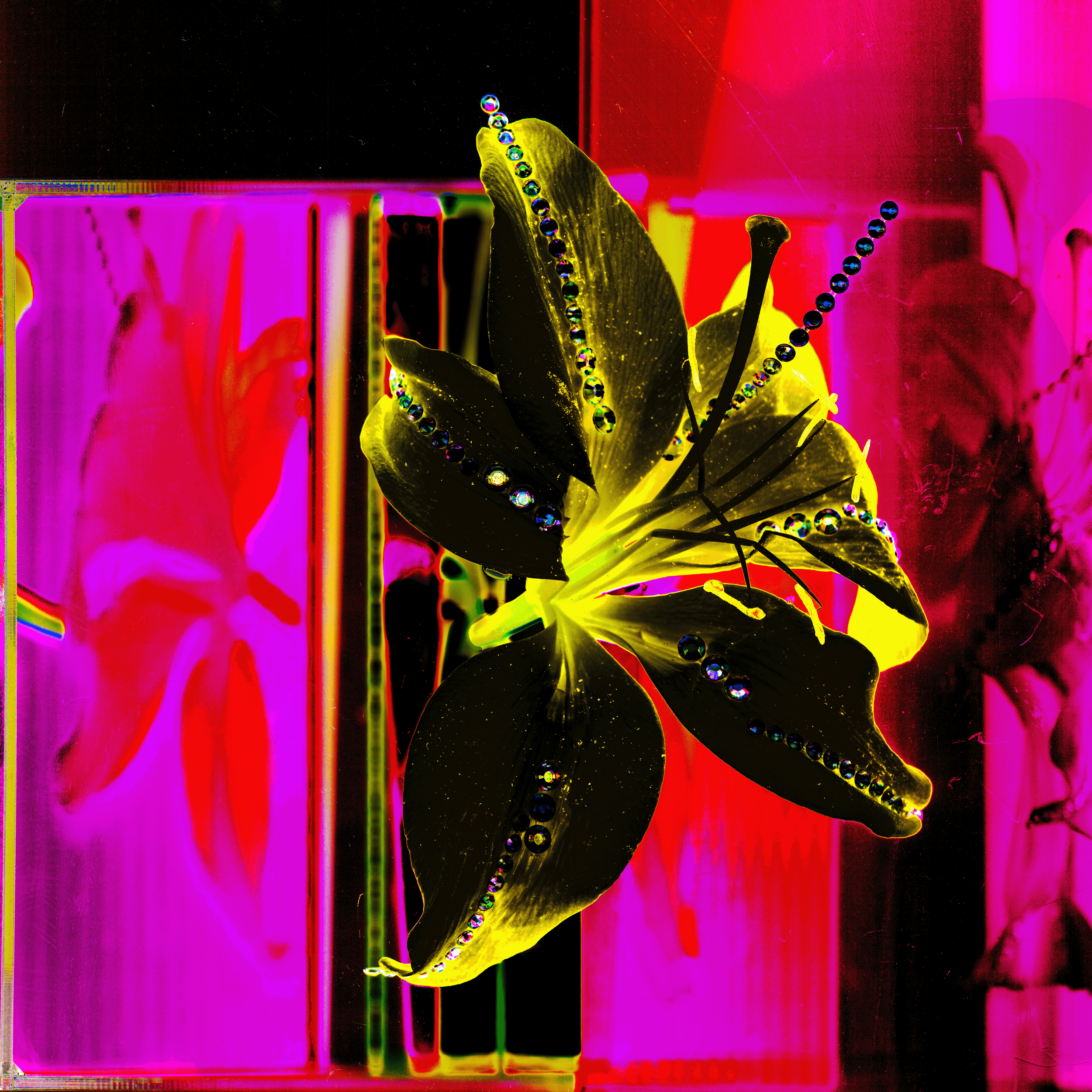 img20230523_23443968 variants3C.png