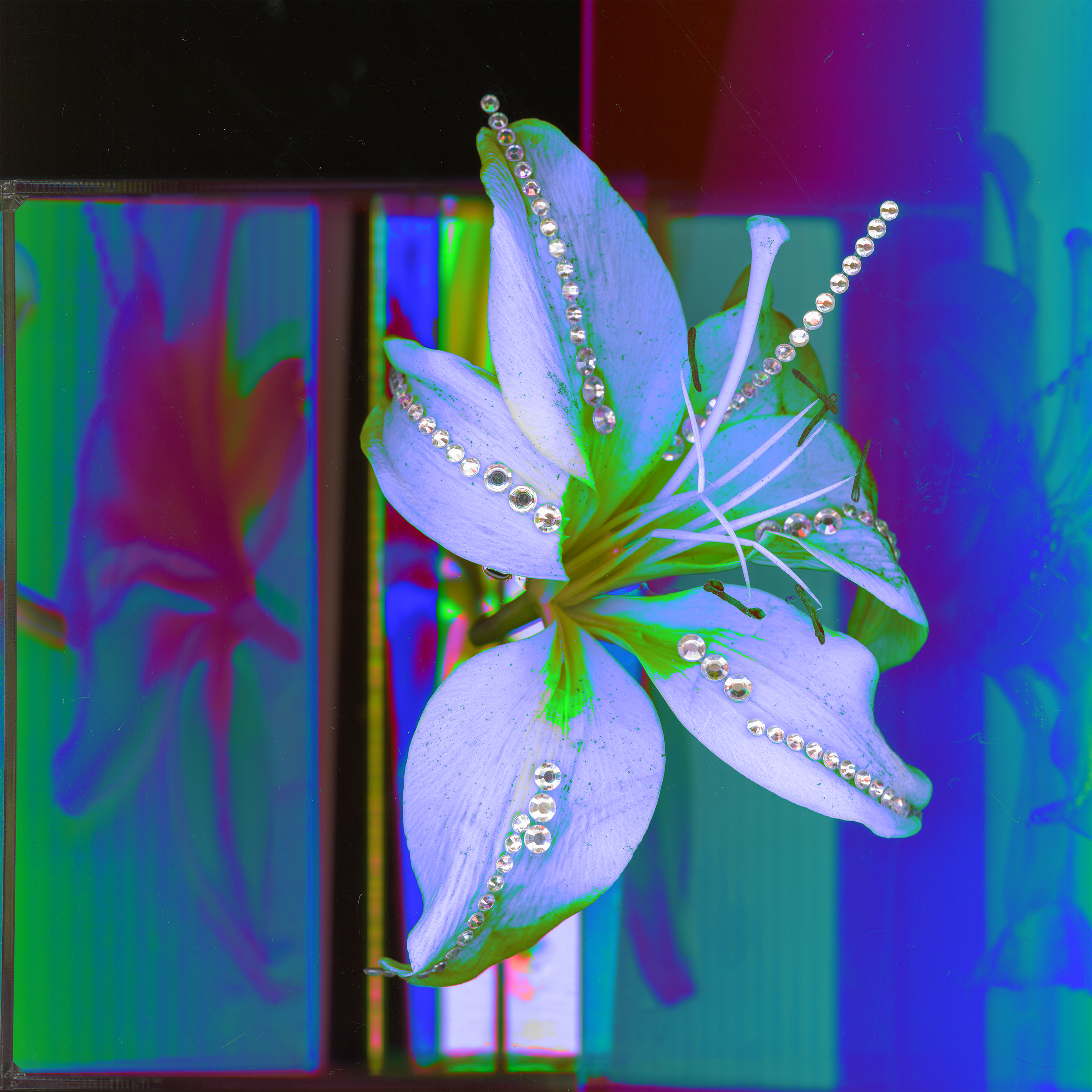 img20230523_23443968 variants2.png
