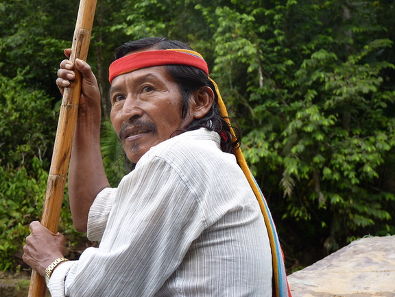 Amazzonia 2.0