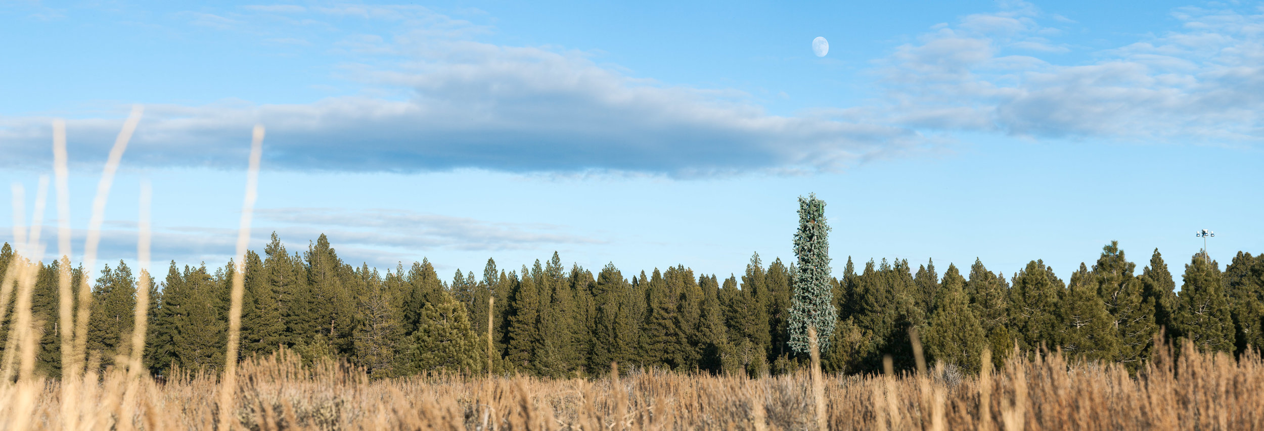 cell tower moon.jpg