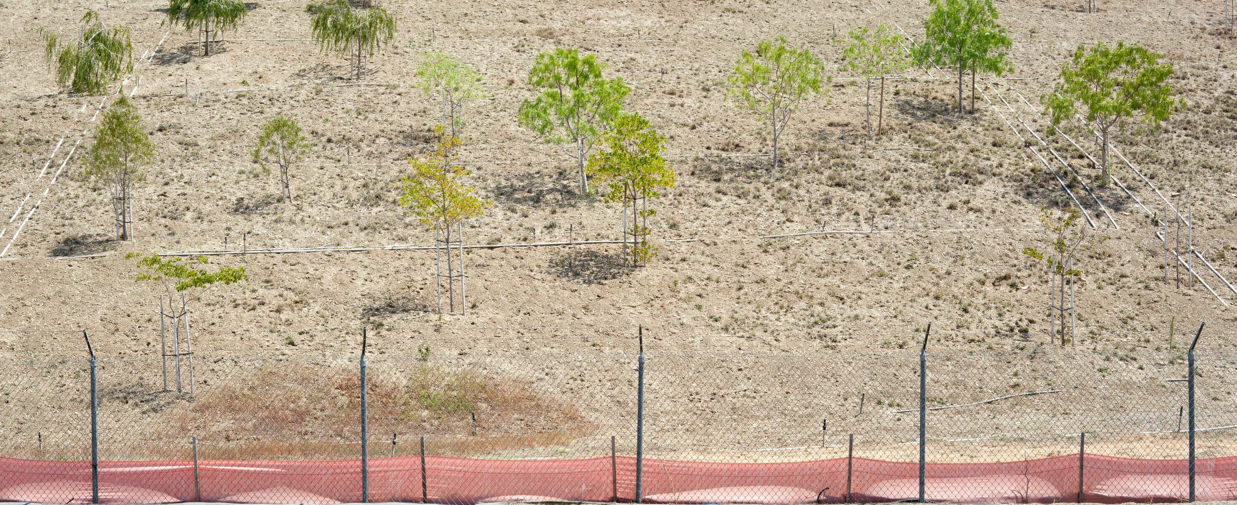 Landscaped Hillside.jpg