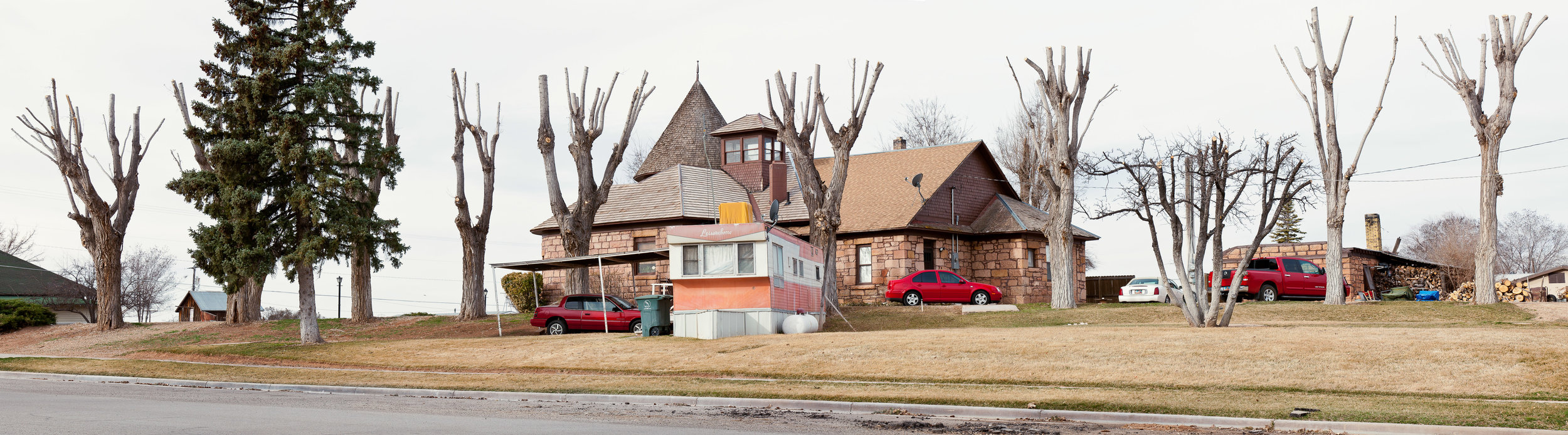 Topped_Trees.jpg
