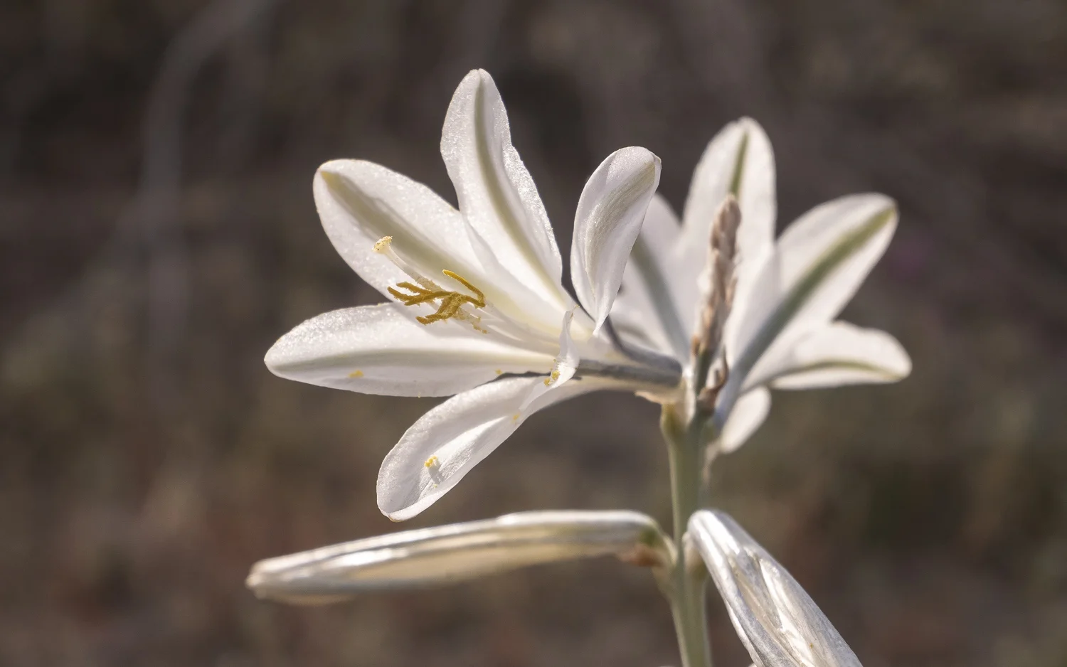 20190309_1010646-share.jpg