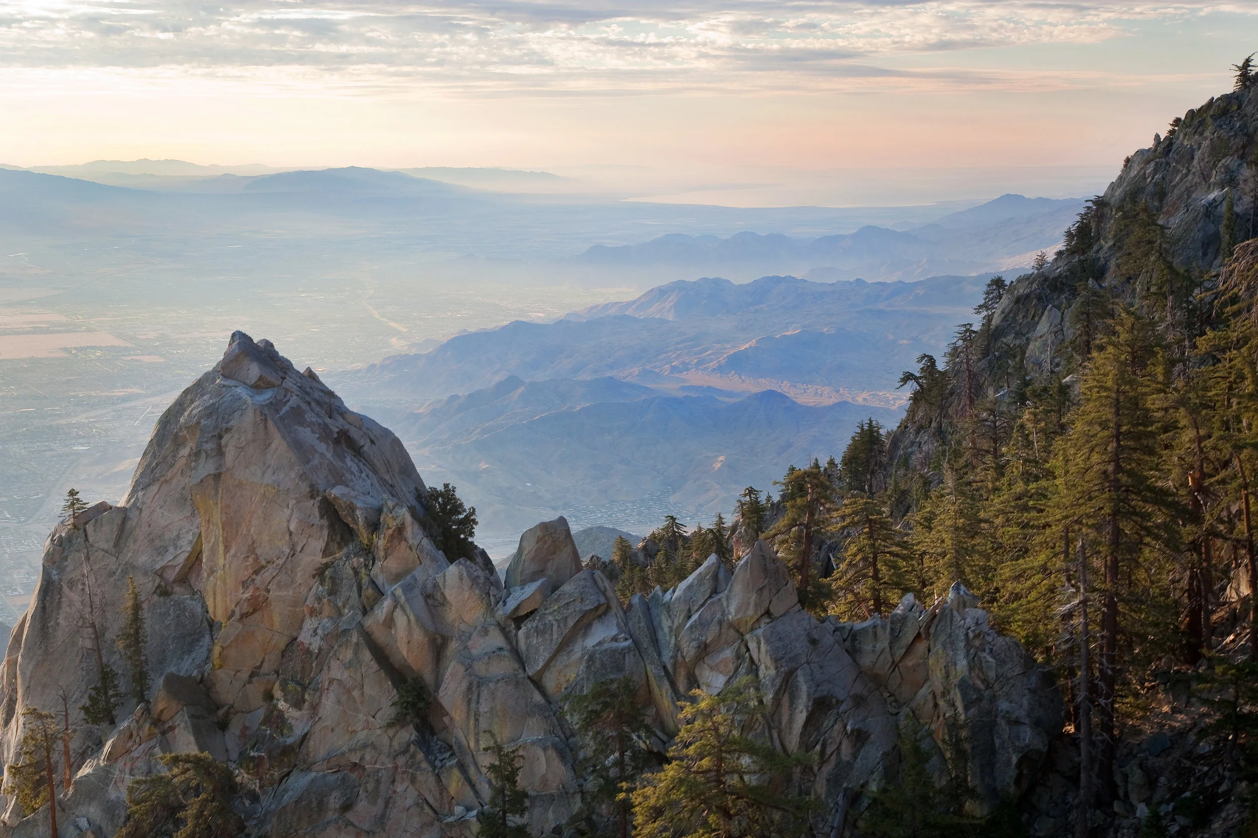Friends Of The Desert Mountains