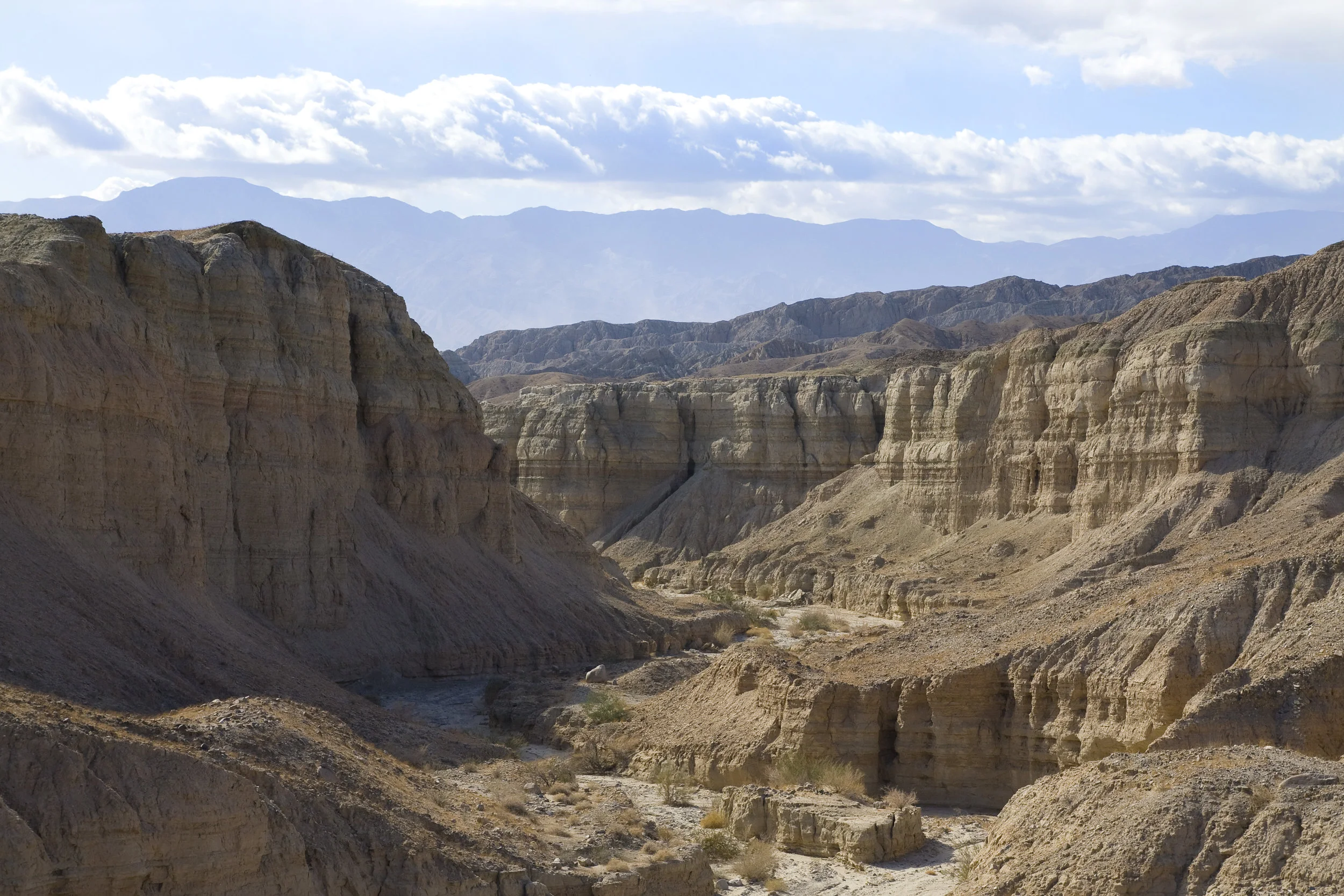 Friends Of The Desert Mountains
