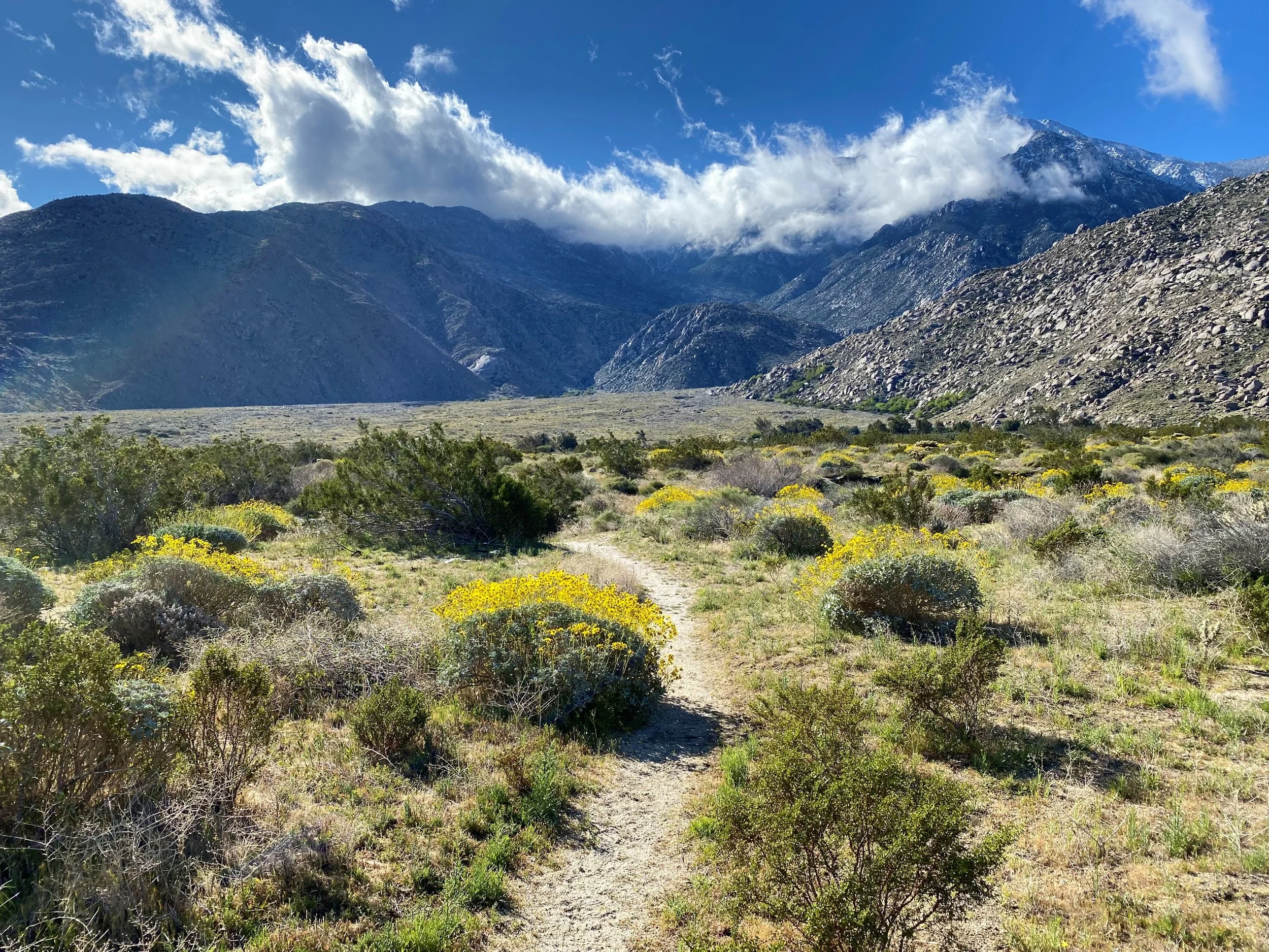 Pacific Crest Trail at Snow Creek Hike — Friends of the Desert Mountains