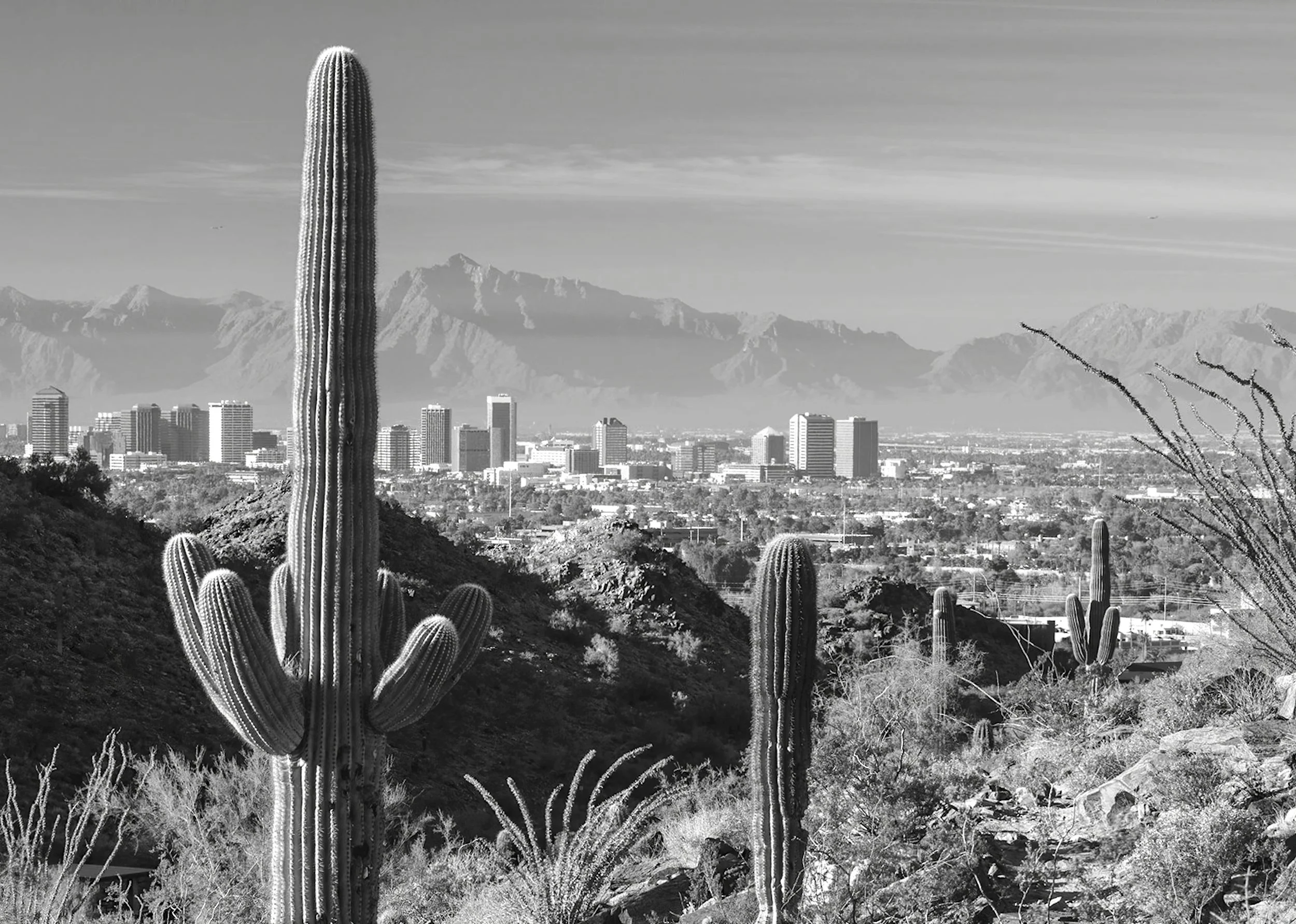 1022079-phoenix-arizonaBW_output.jpg