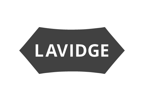 logo_Lavidge.png