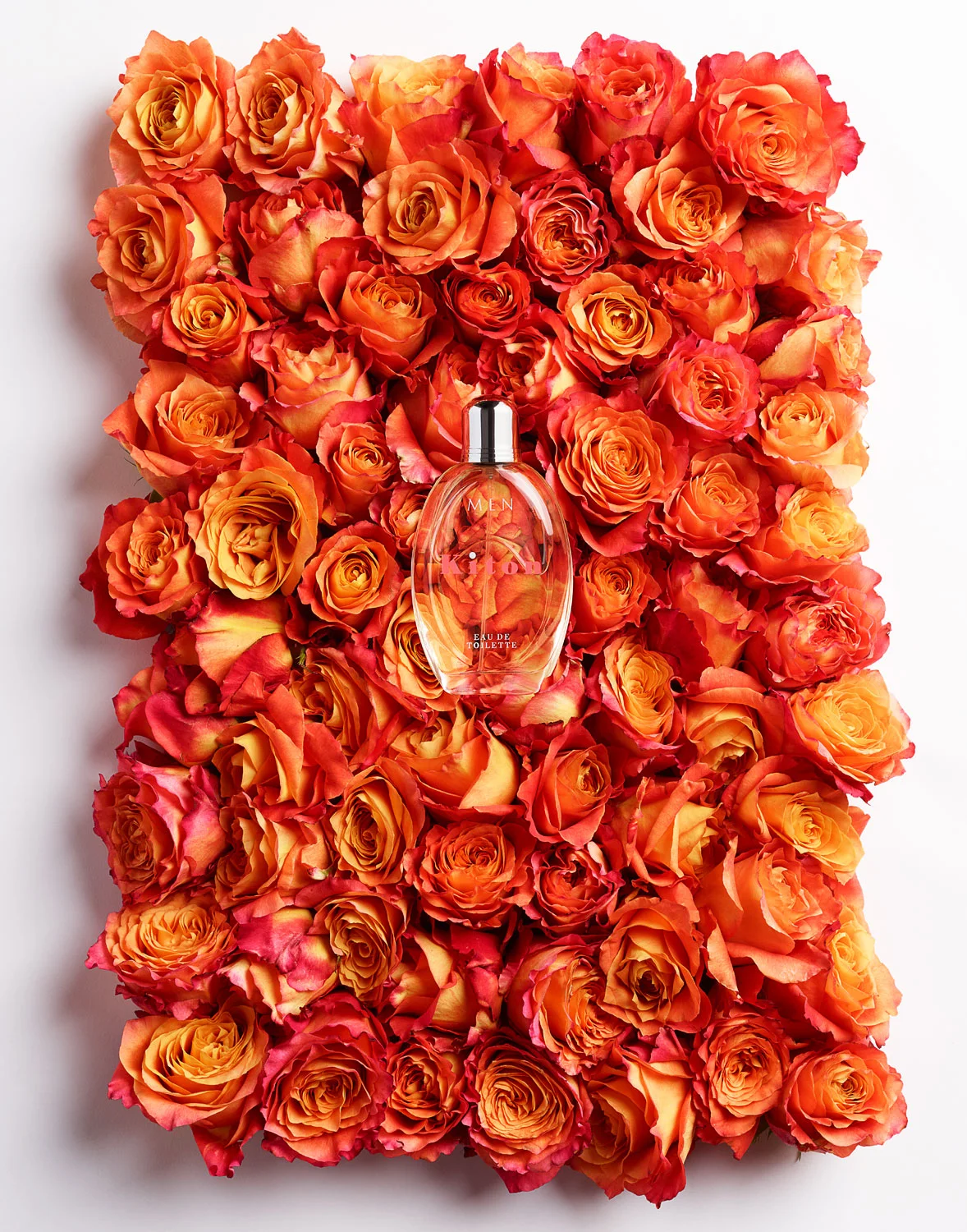 040116_ROSE_V7_me.jpg