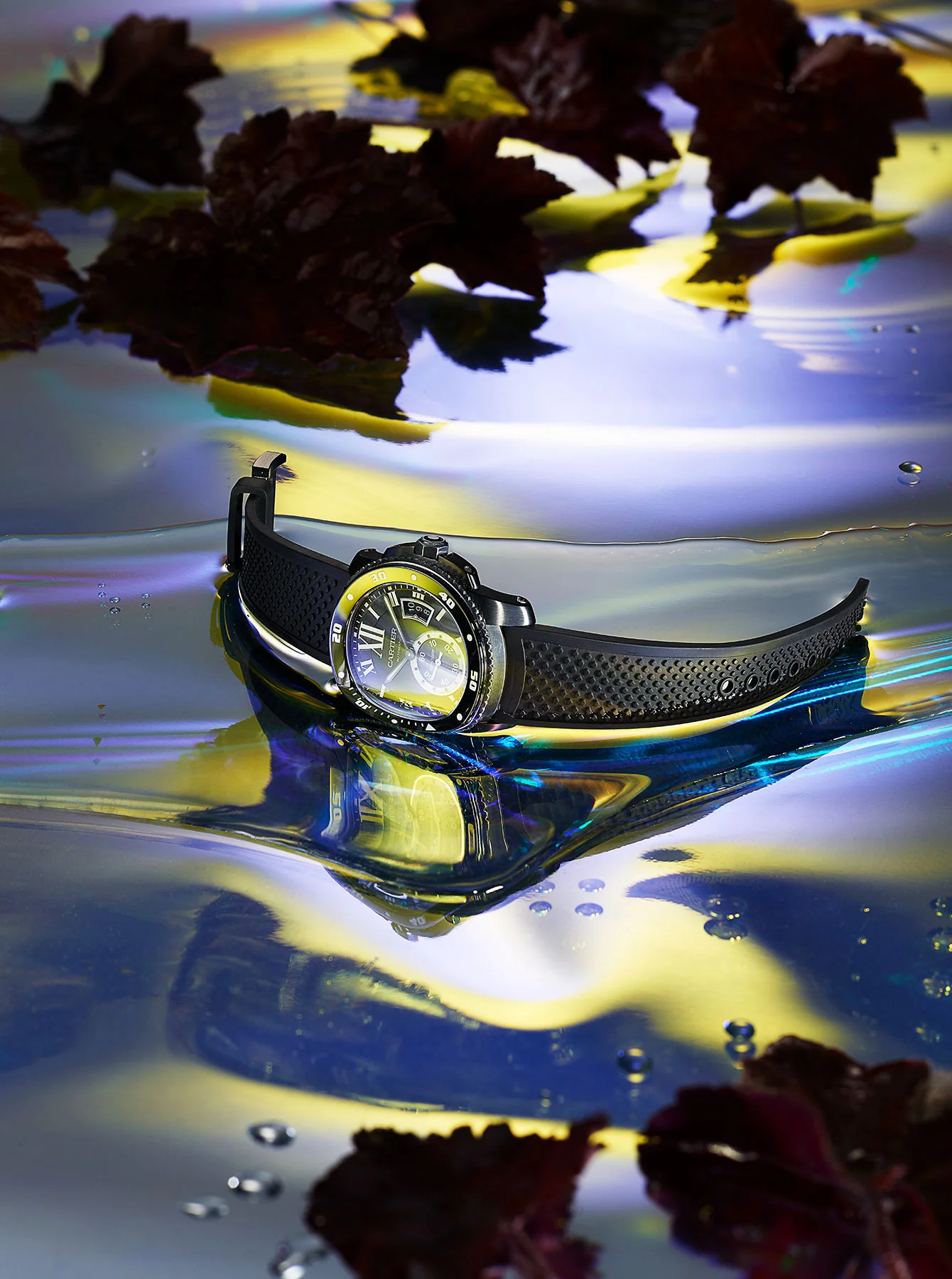 Watch Journal