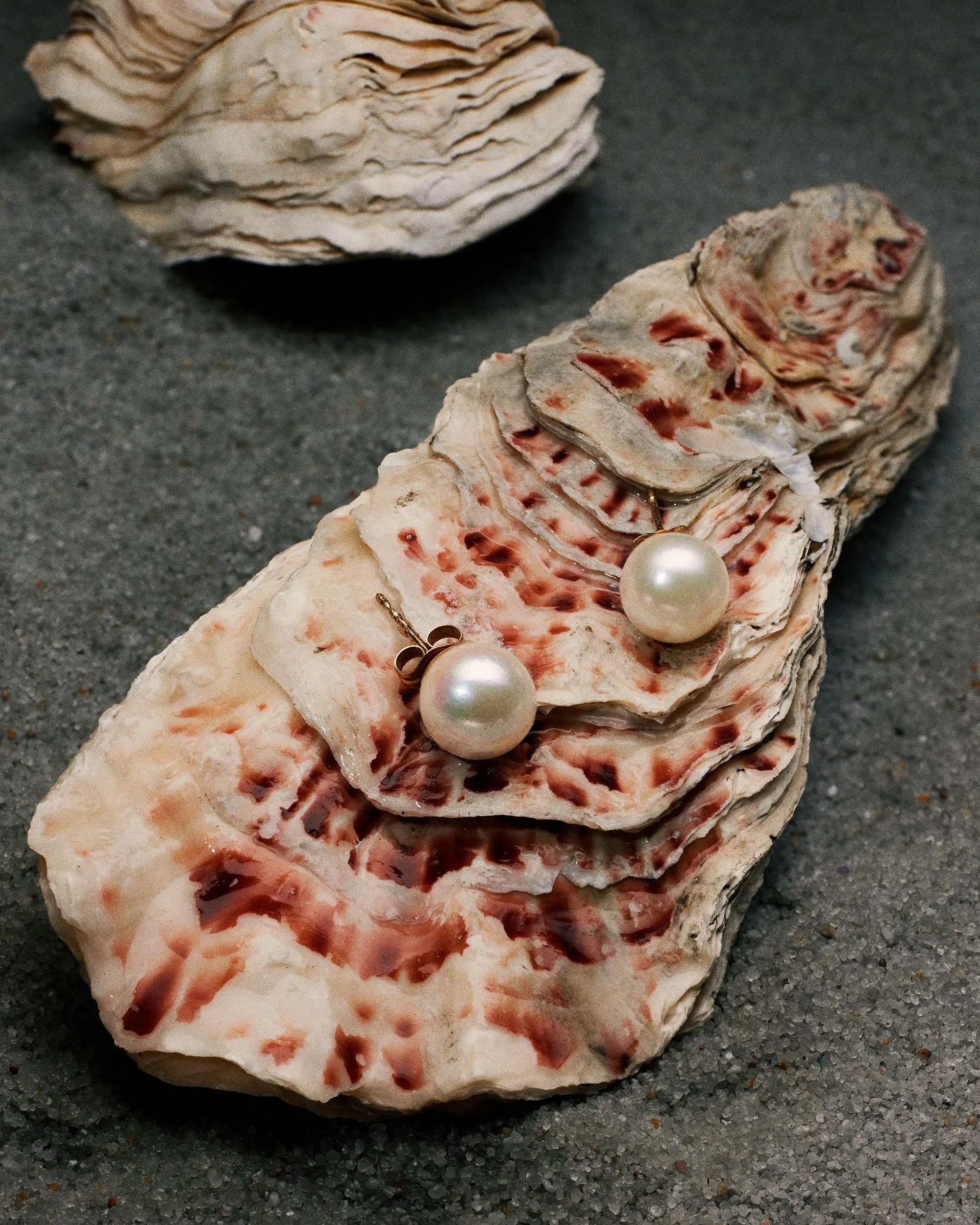 112025_Pearl_V2.jpg
