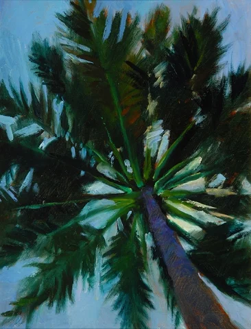 Palm Tree
